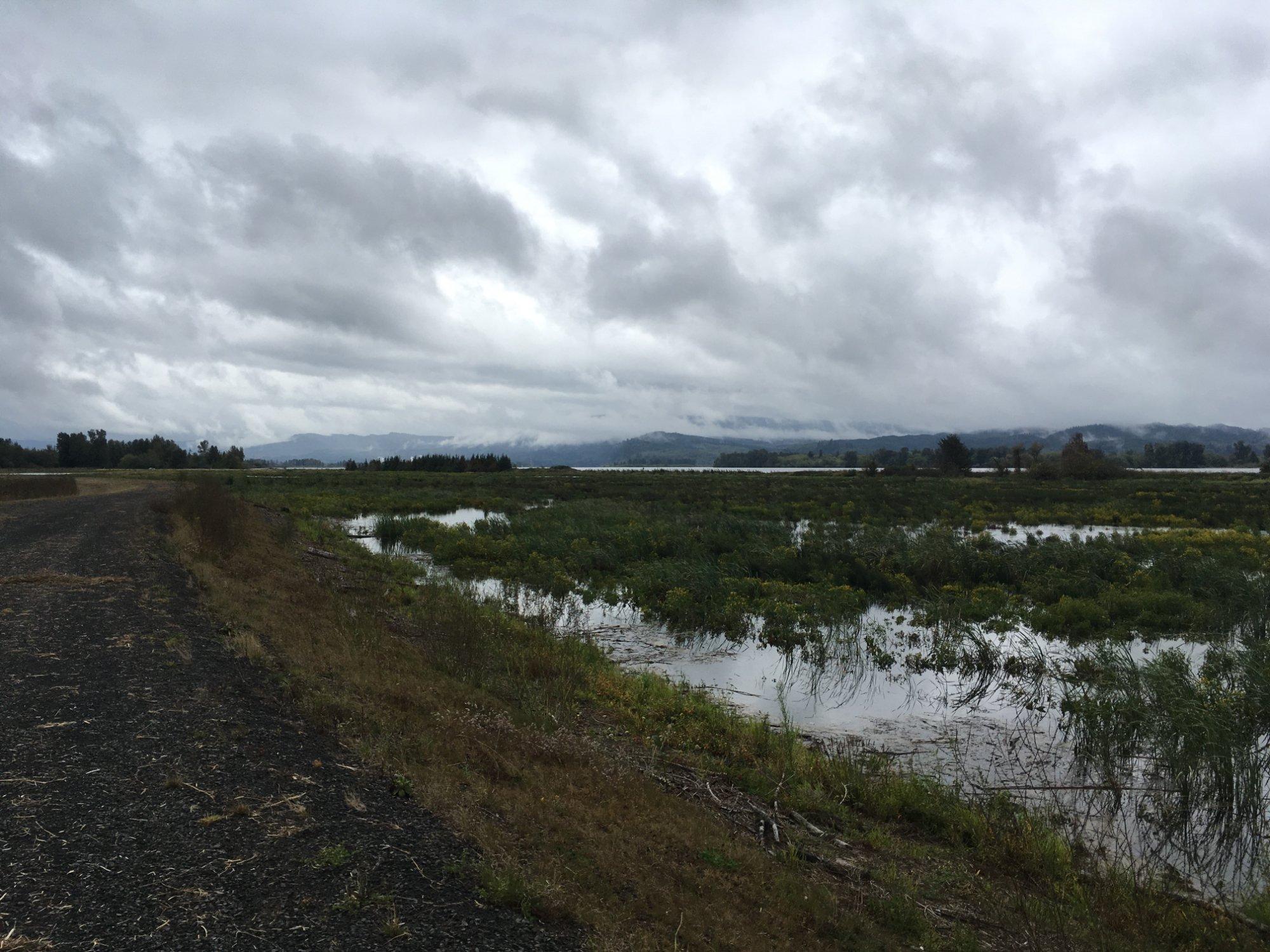 Julia Butler Hansen Refuge