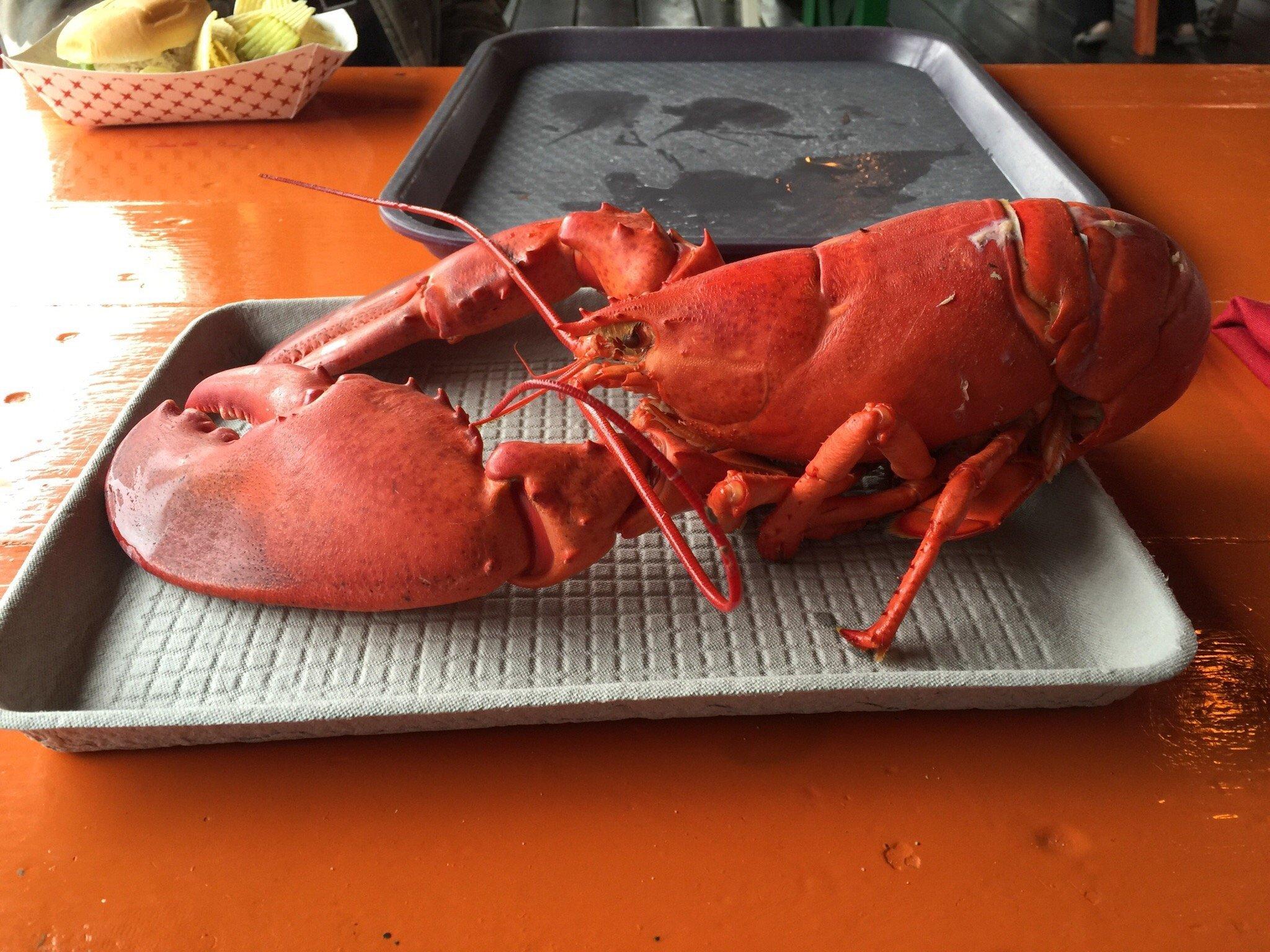 Chauncey Creek Lobster Pier