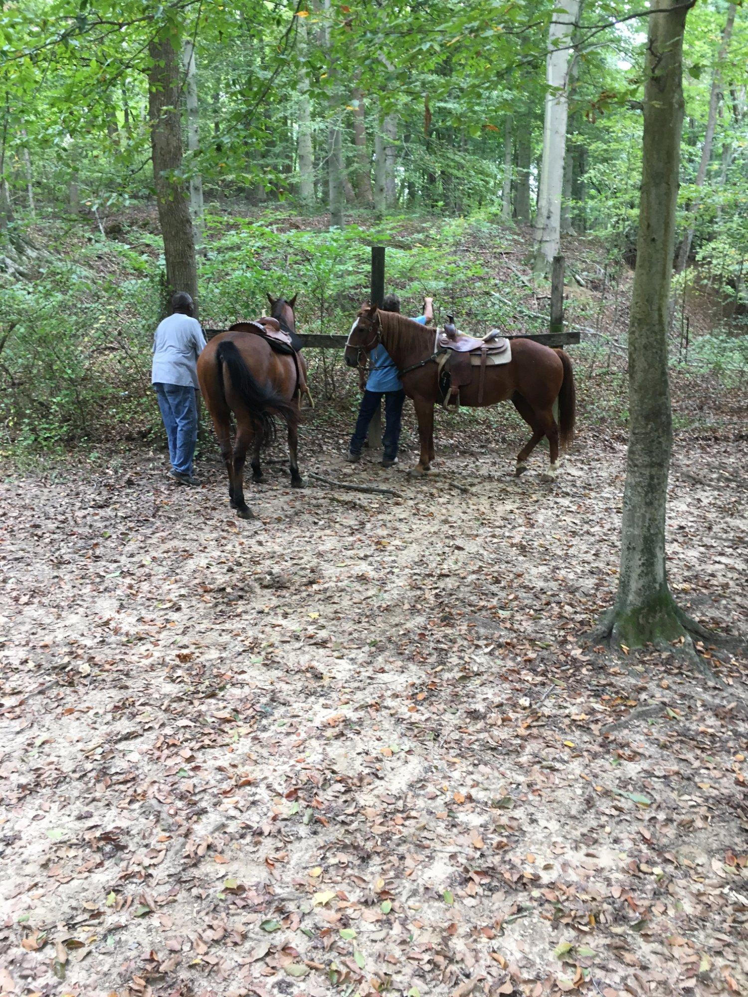 Piscataway Riding Stables