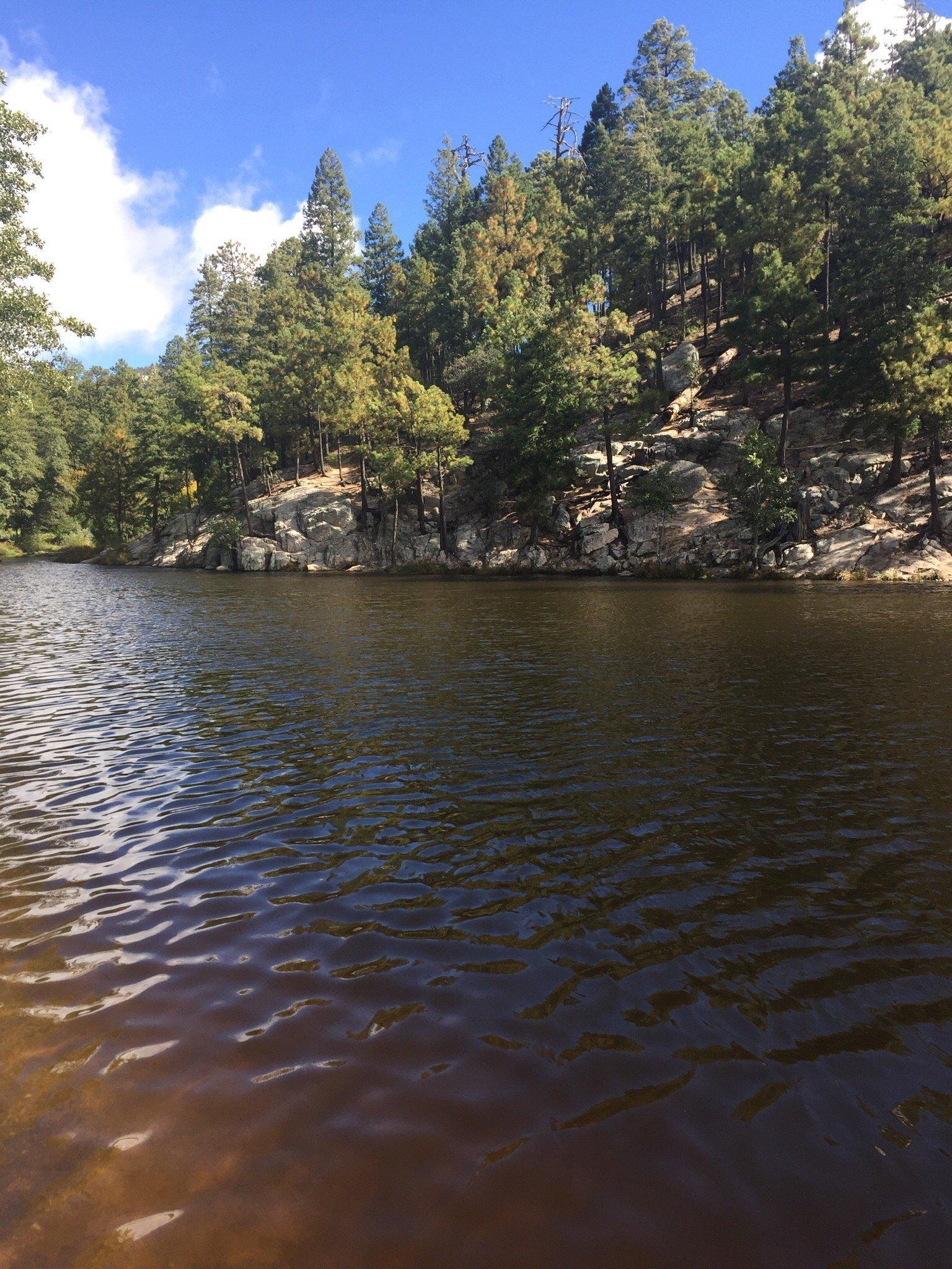 Mt-Lemmon Summer Haven