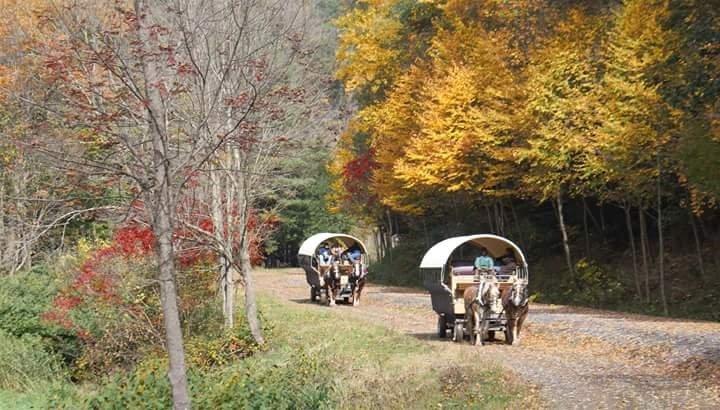 Ole Covered Wagon Tours