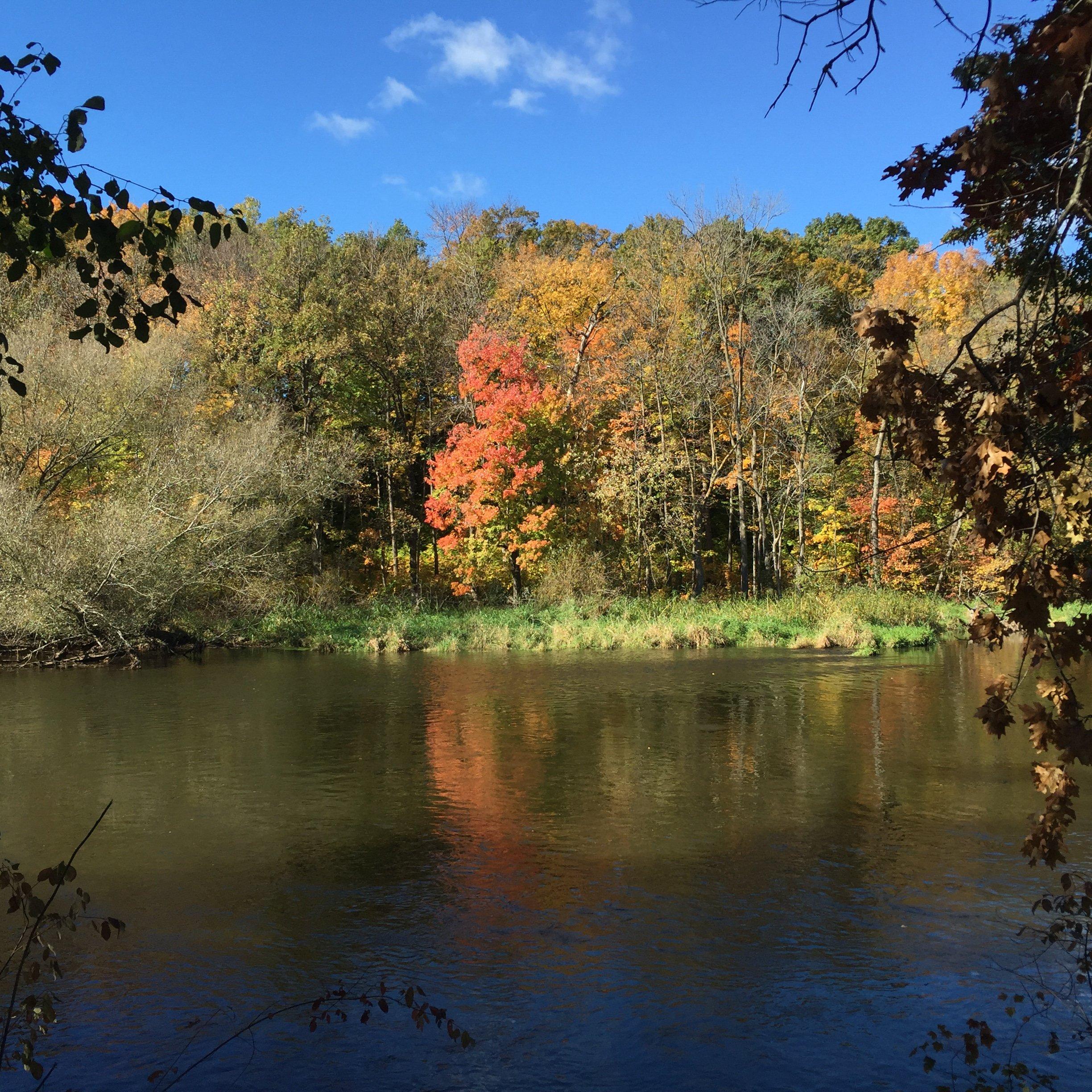 Cedar Side Walking Trail