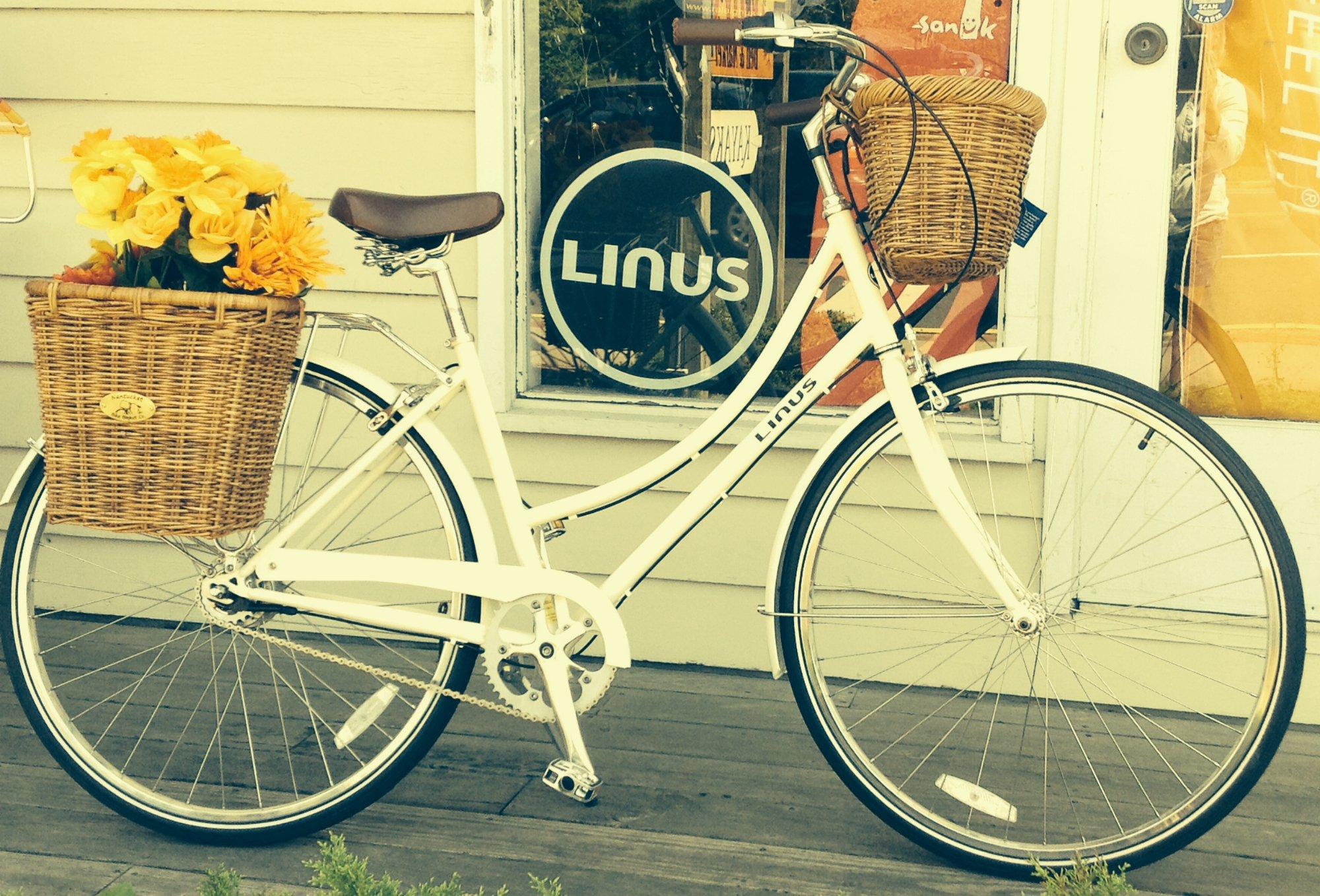 Amagansett Beach & Bicycle