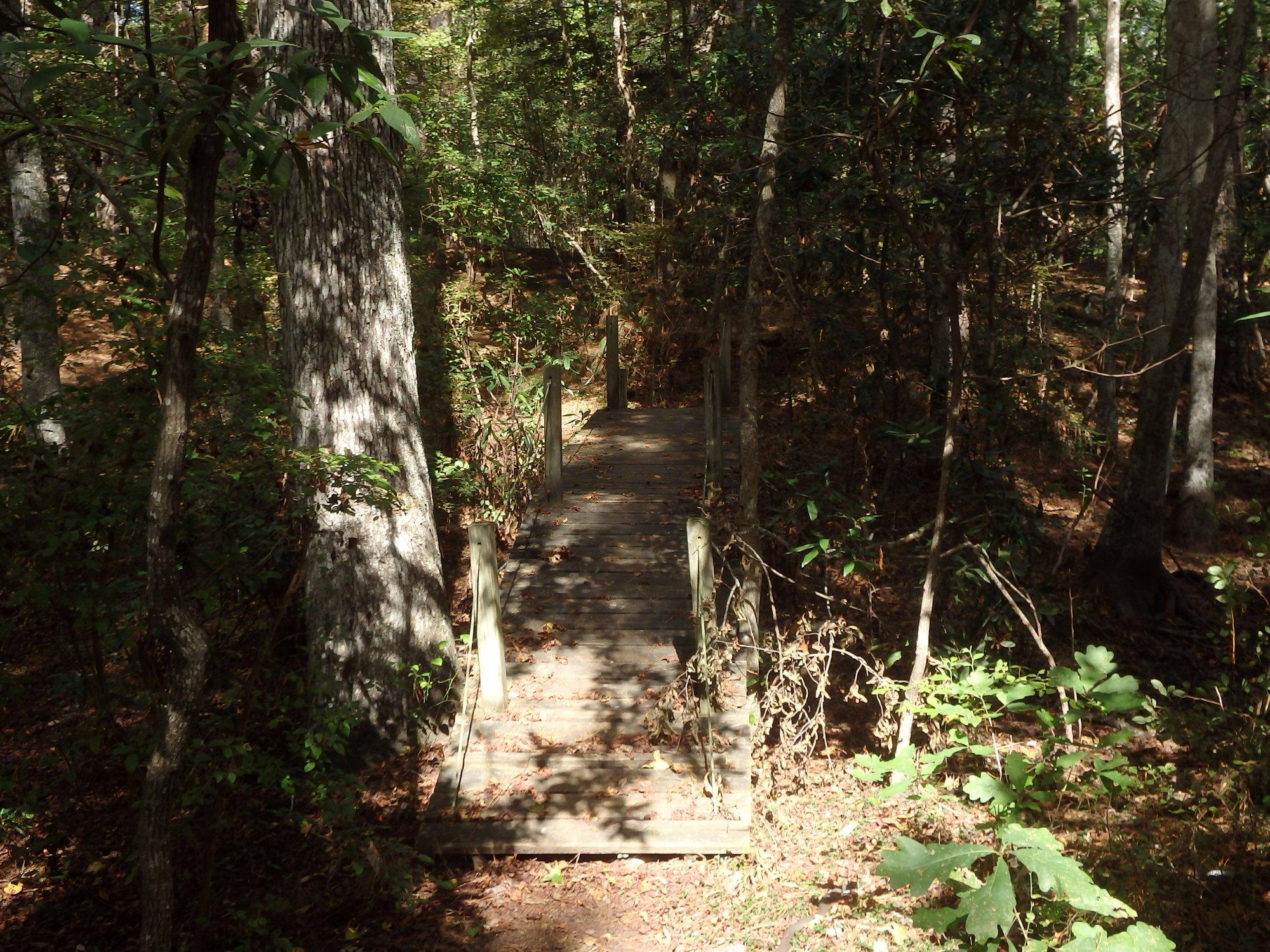 Sweetgum Swamp Trail