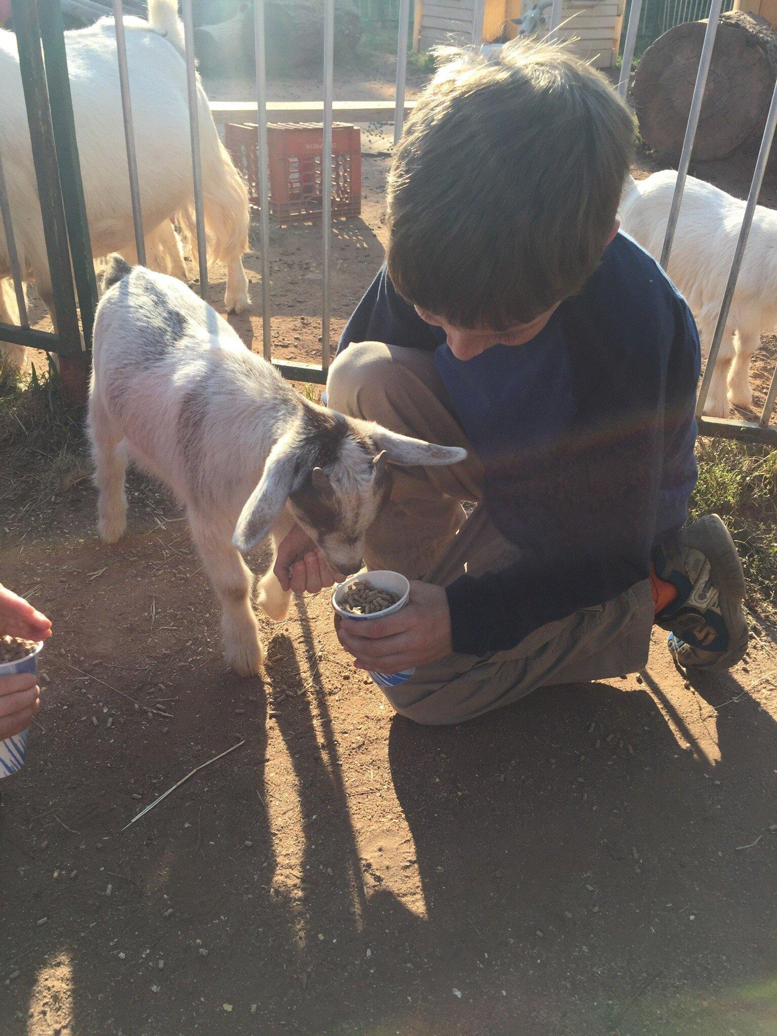 Cheshire Hollow Farm