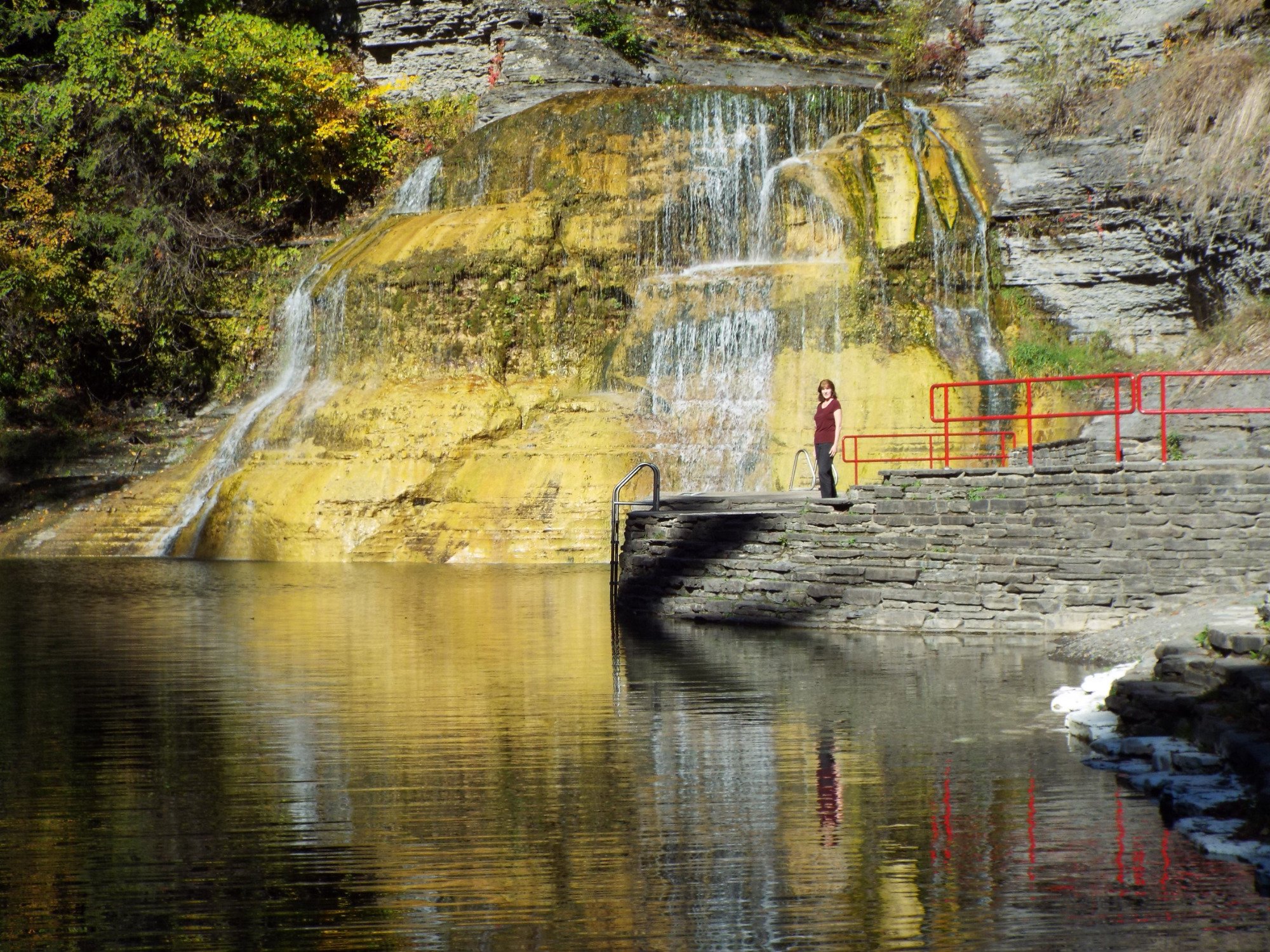 Robert H Treman State Park