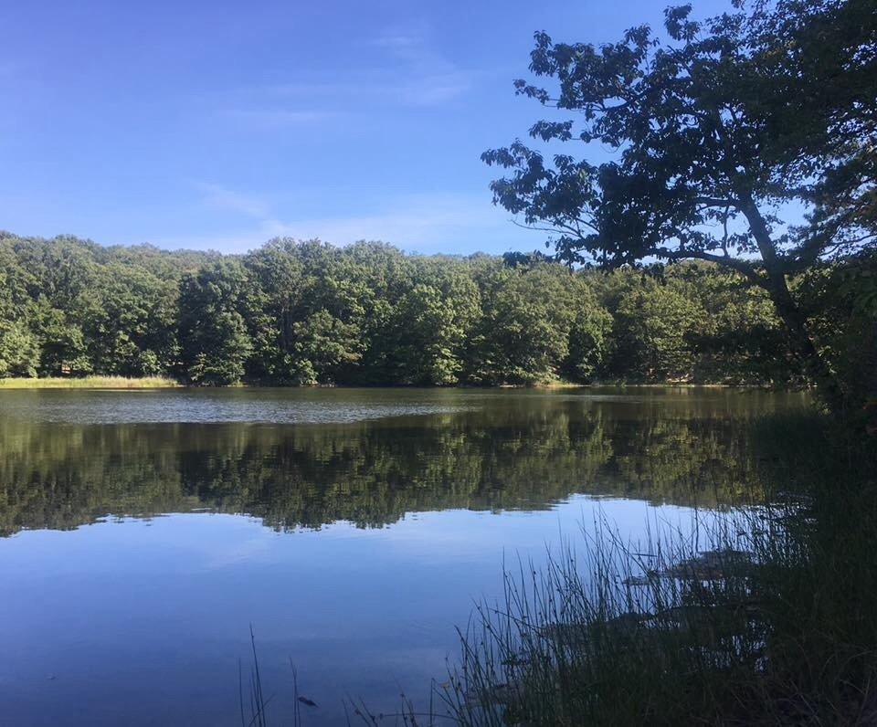 Cheesequake State Park