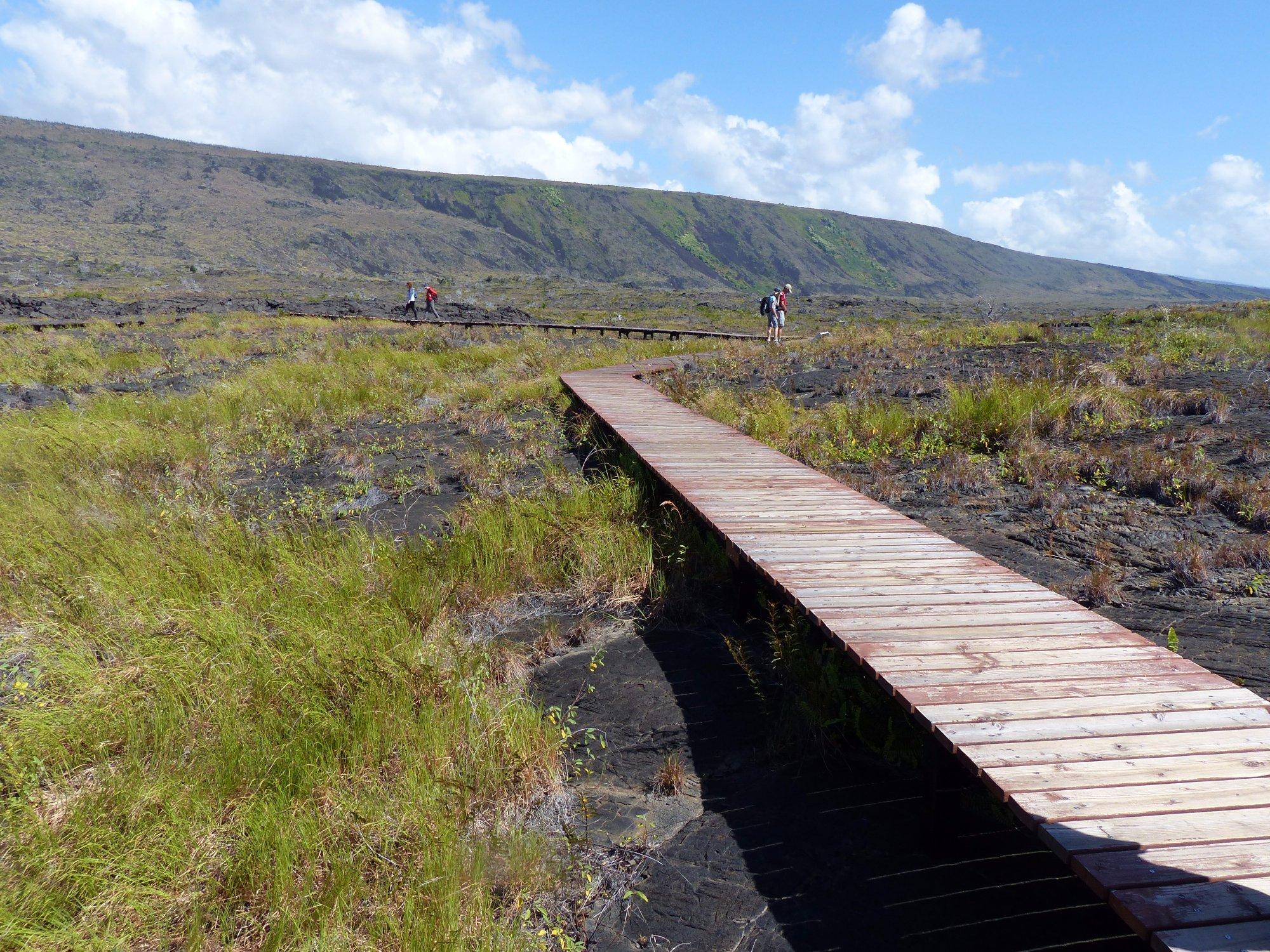 Pu'u Loa Petroglyphs