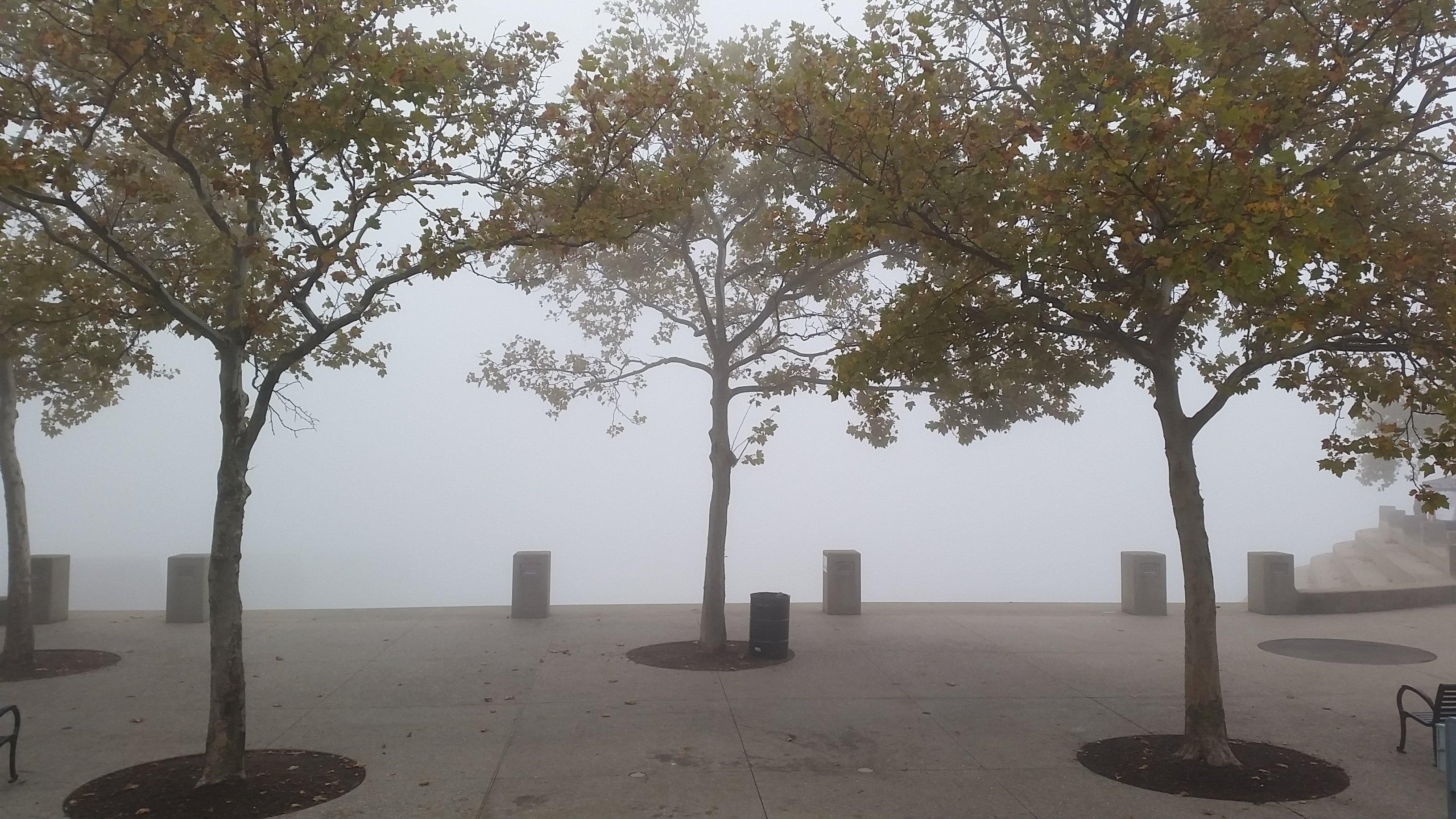 Bicentennial Commons-Sawyer Point