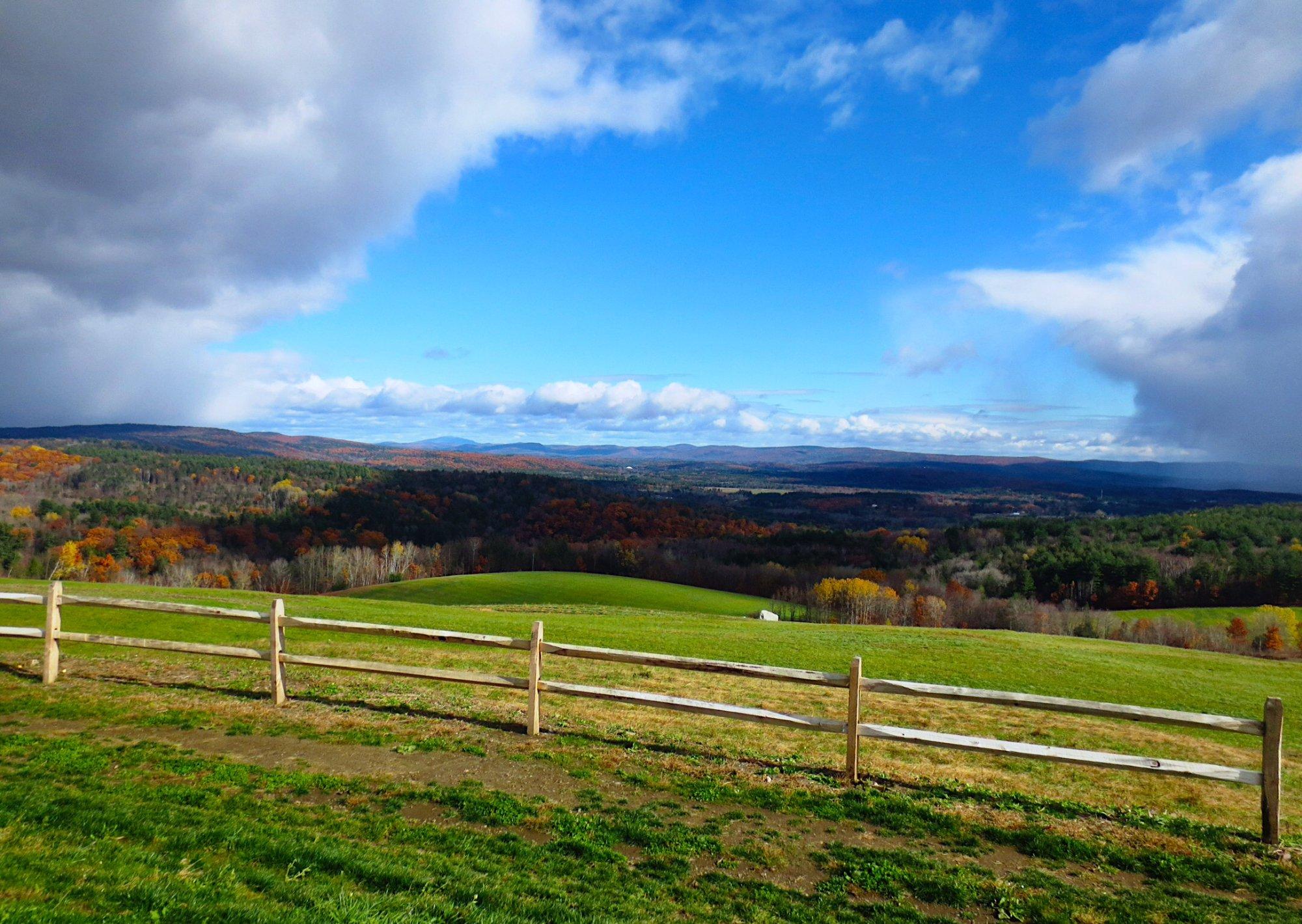 Apex Orchards