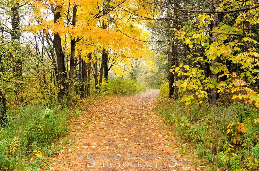 Lime Hollow Nature Center