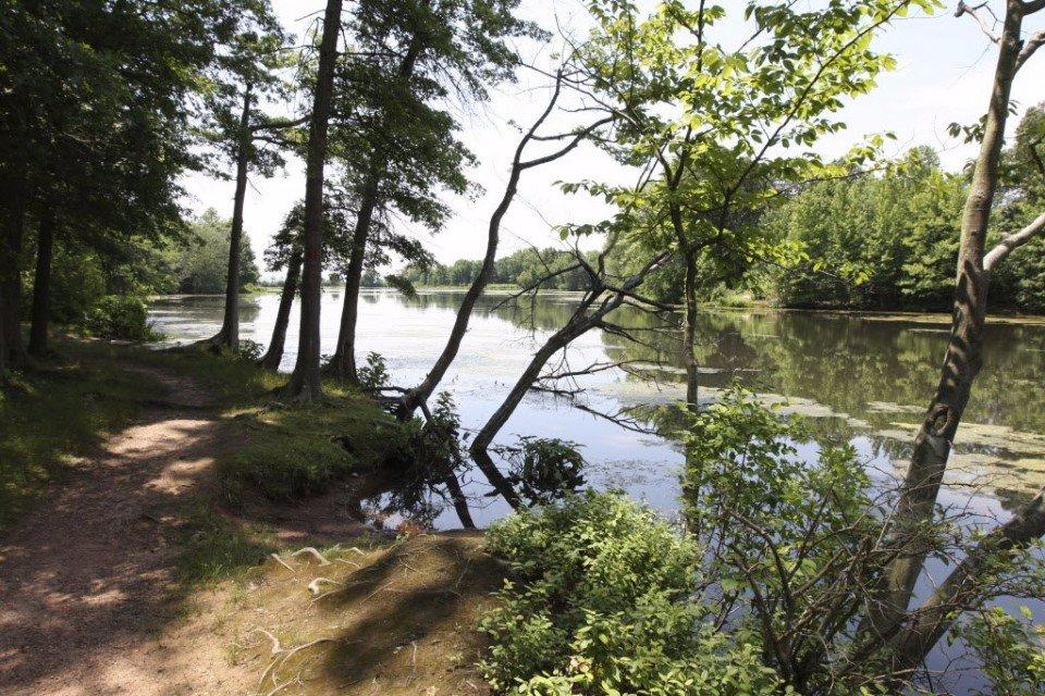 Staten Island Greenbelt