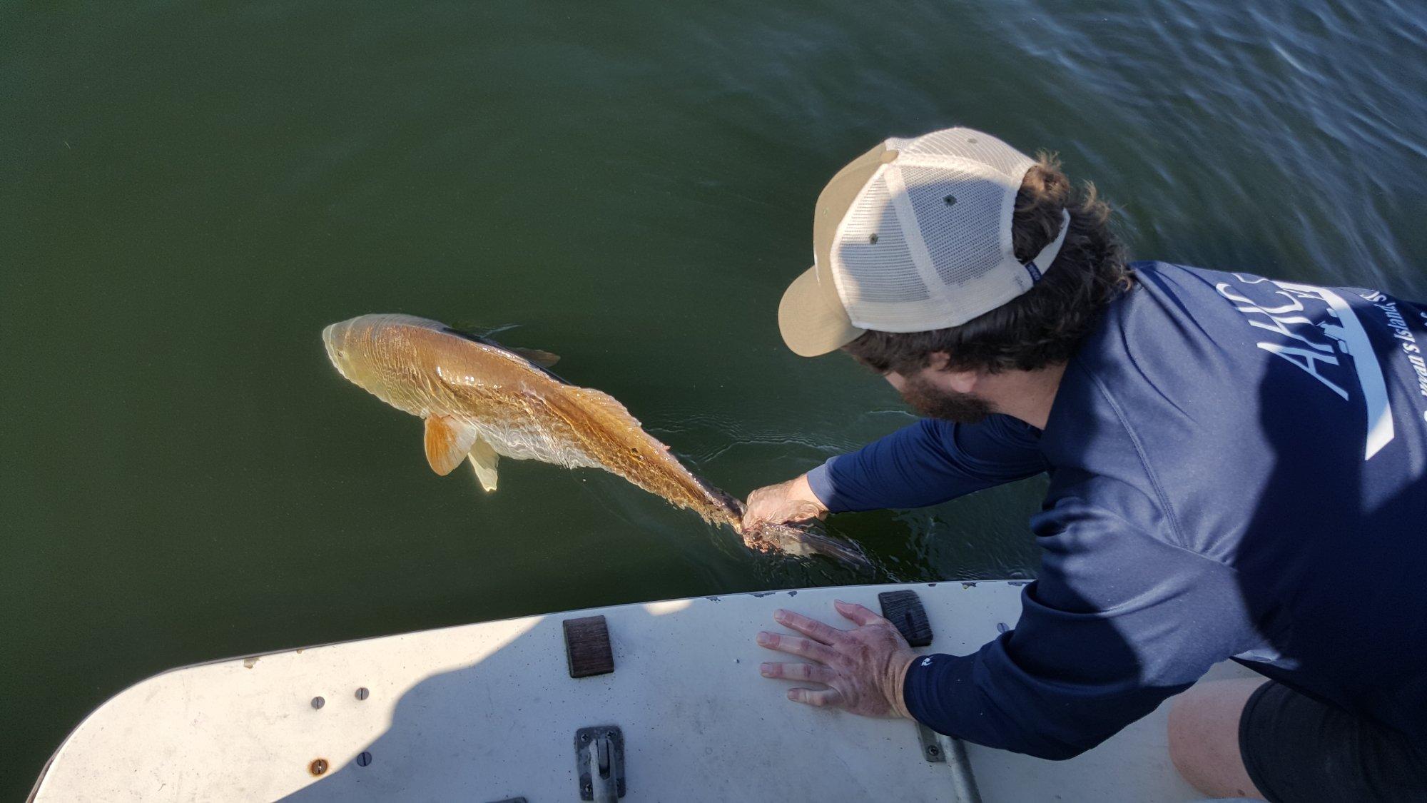 Atlantic Breeze Charters