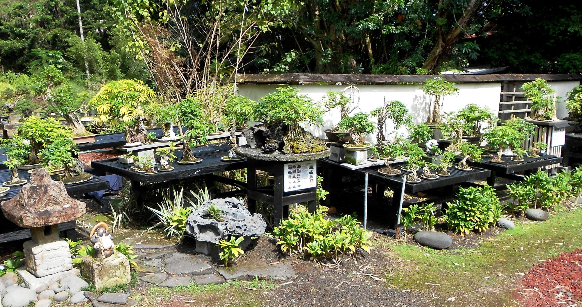 Fuku Bonsai Cultural Center