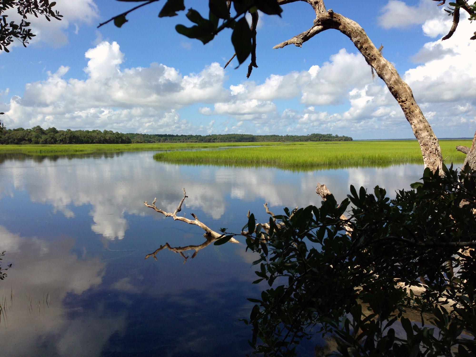 Savannah Coastal Ecotours