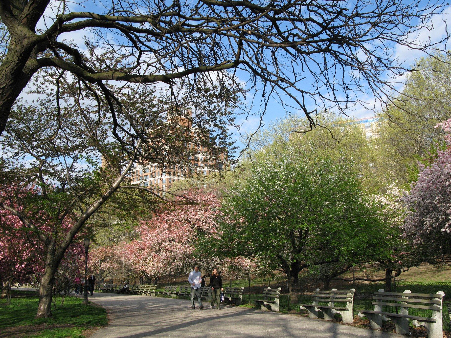 Riverside Park Conservancy