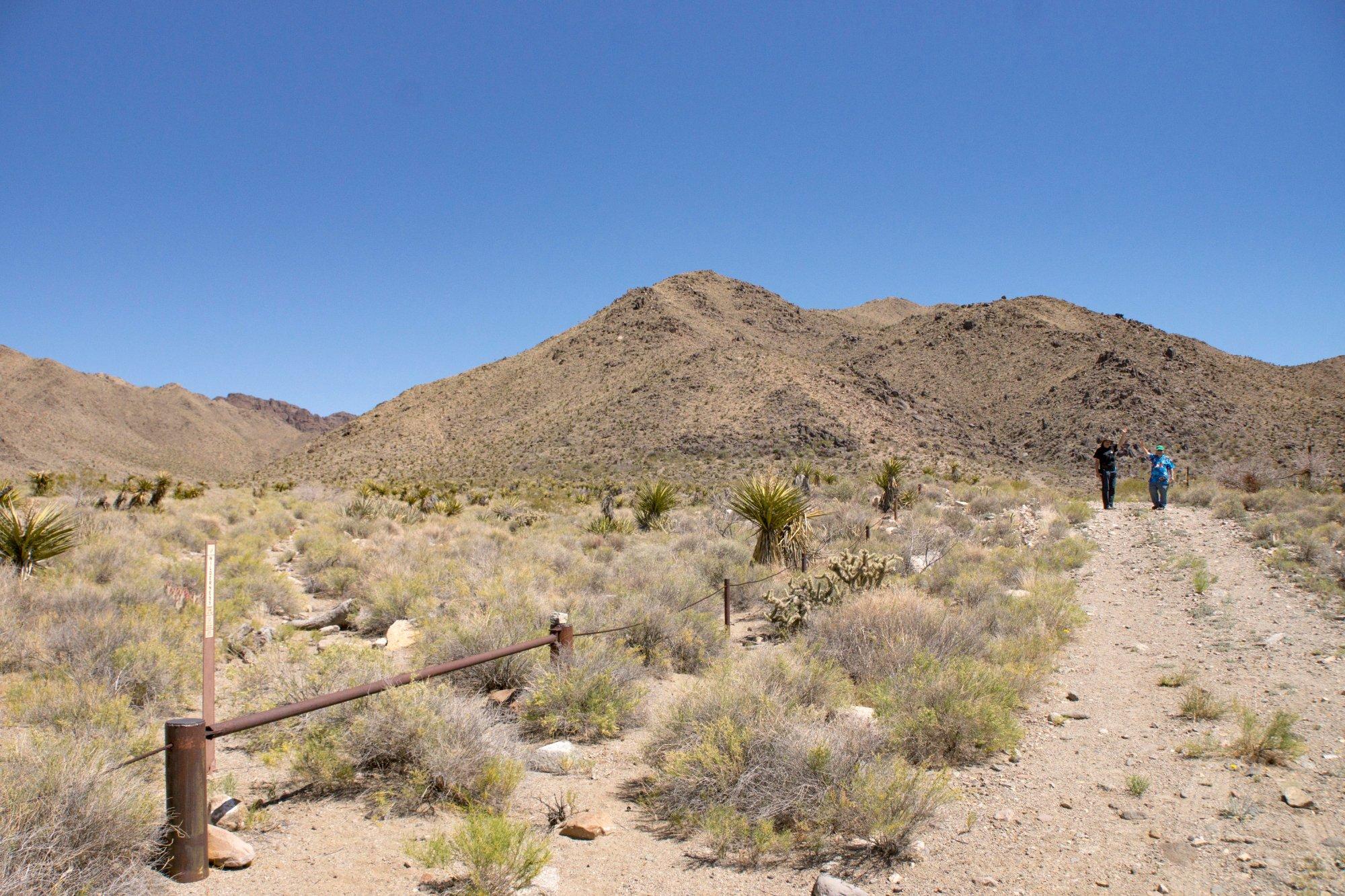 Mount Tipton Wilderness Reserve