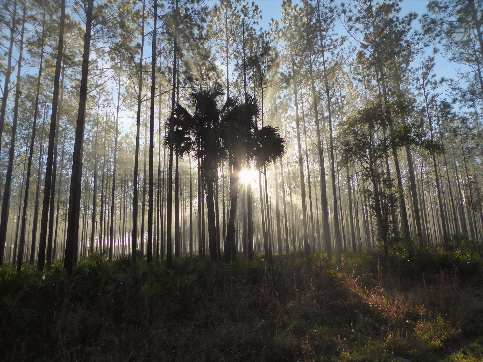 Bluffton Recreation Area