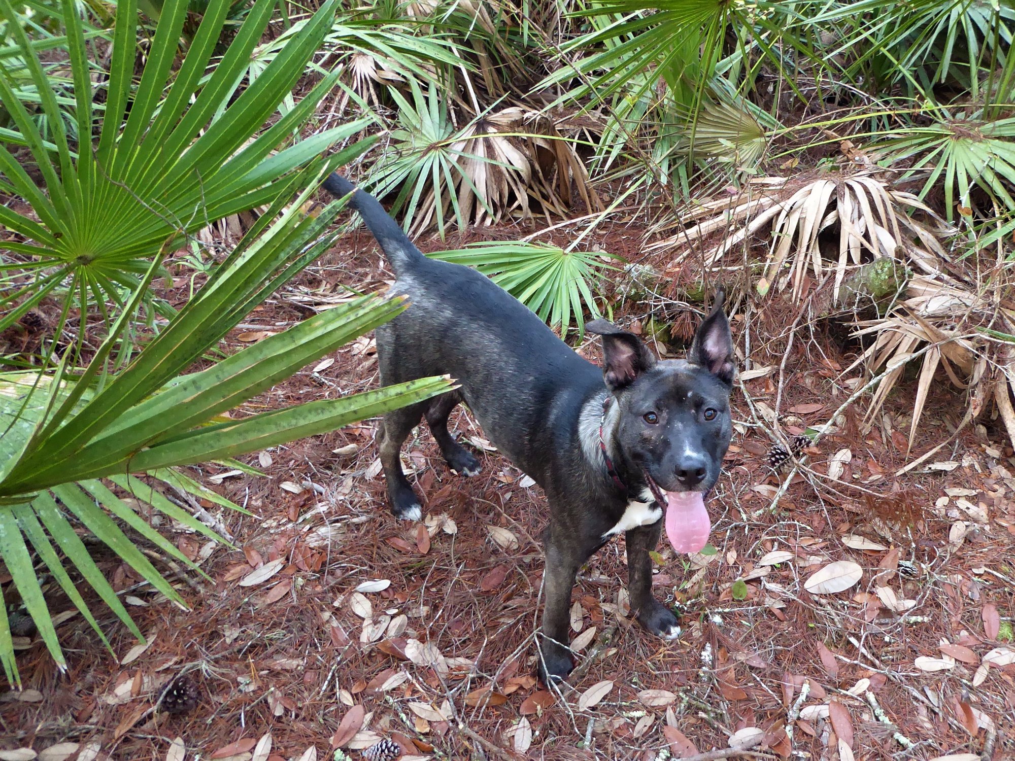 Cassia Trailhead