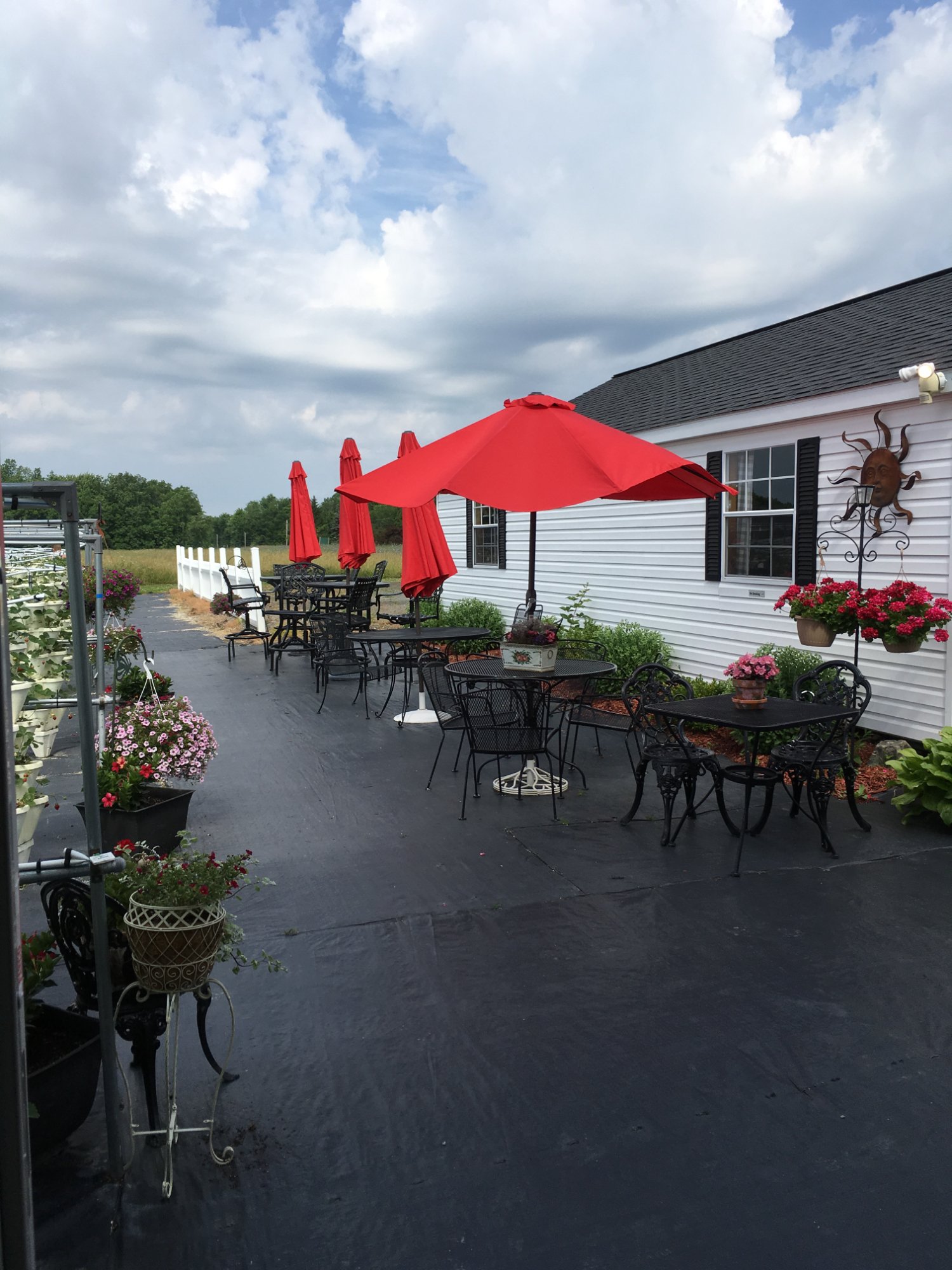 Strawberry Fields Hydroponic Farm