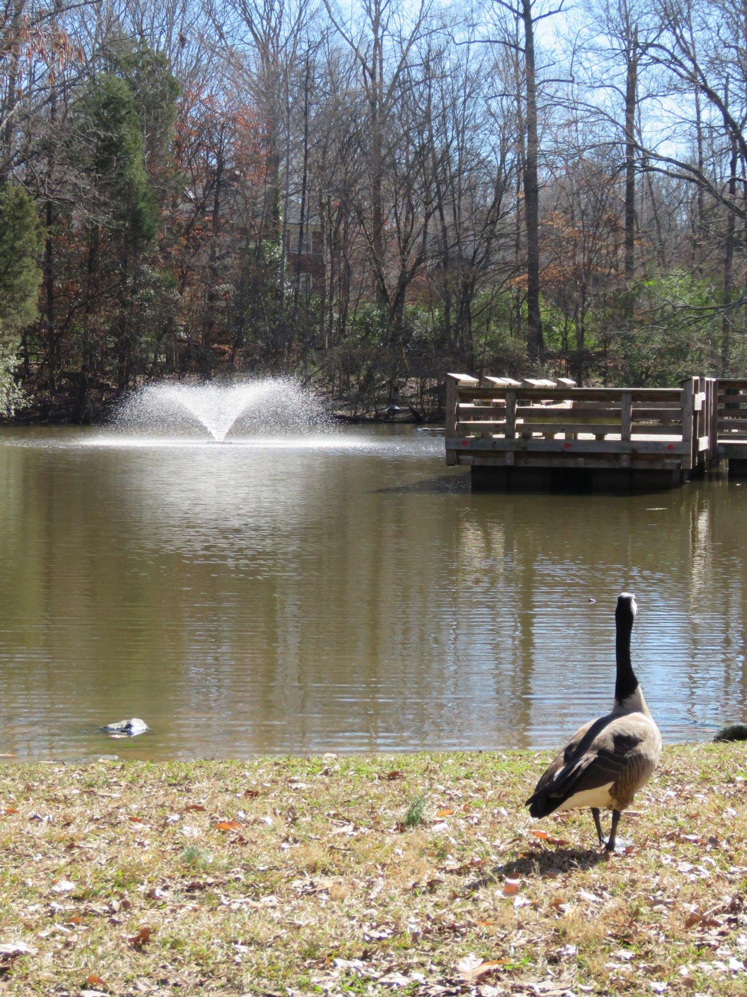 Squirrel Lake Park