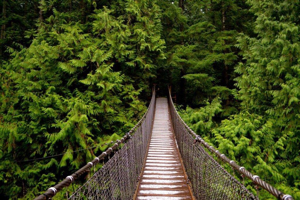 Lynn Canyon Suspension Bridge