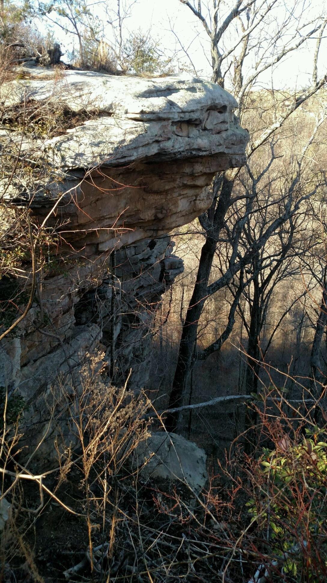 Buck's Pocket State Park