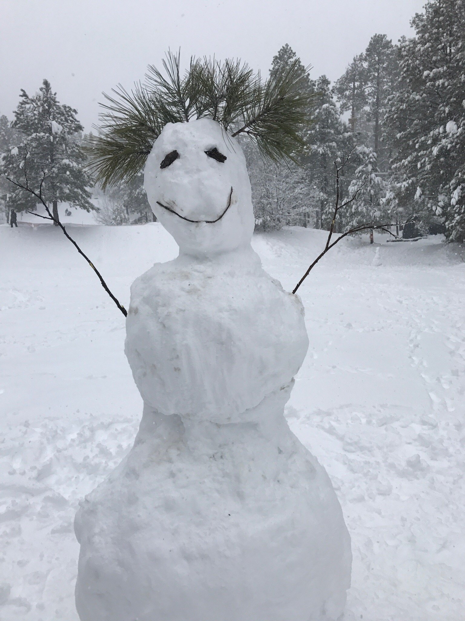 Flagstaff Snow Park