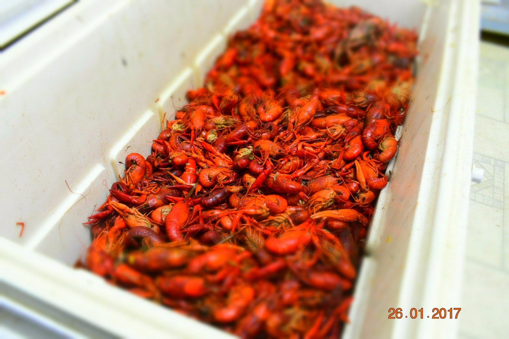 South Mississippi Crawfish Company, LLC