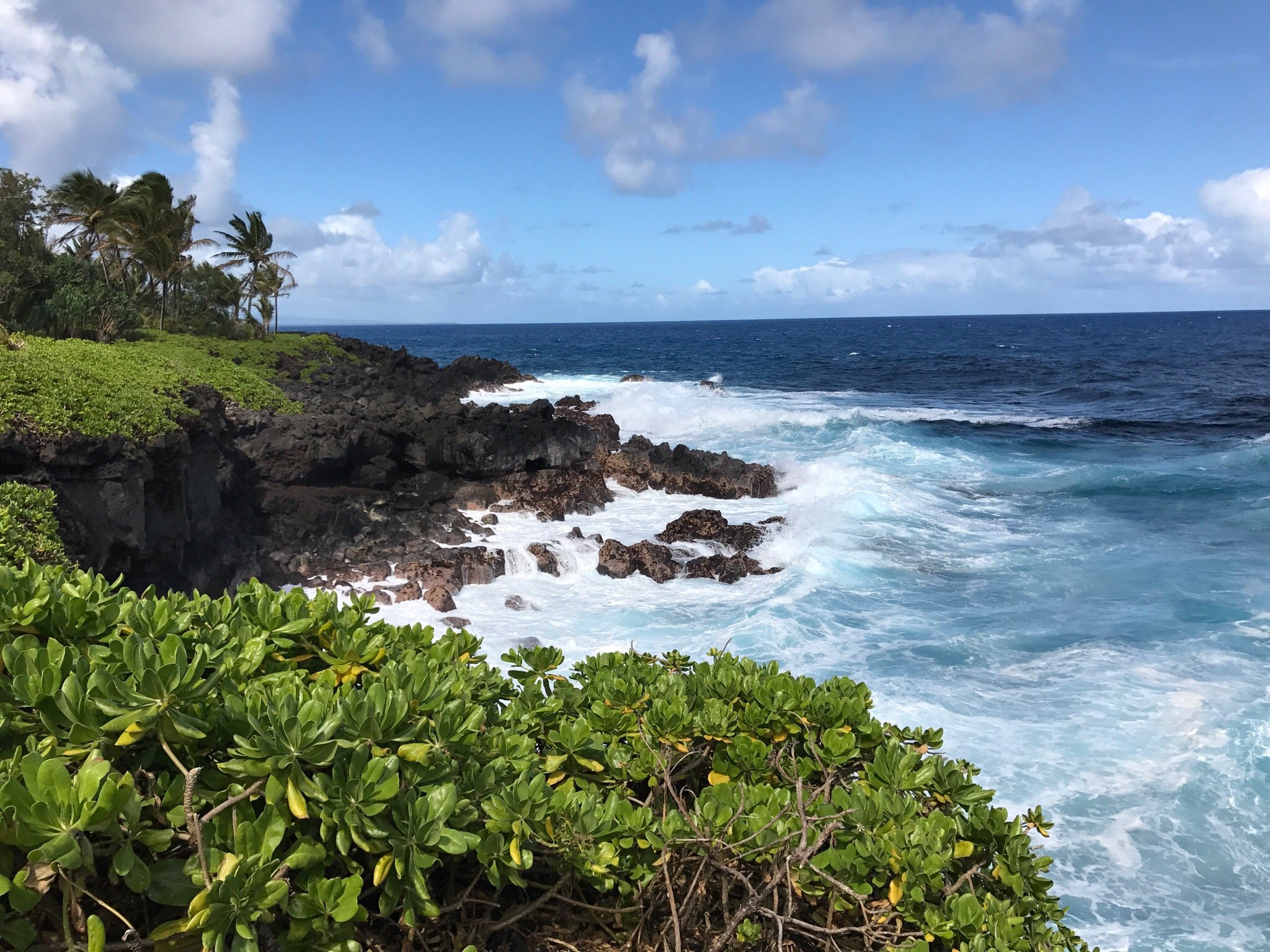 Isaac Hale Beach Park