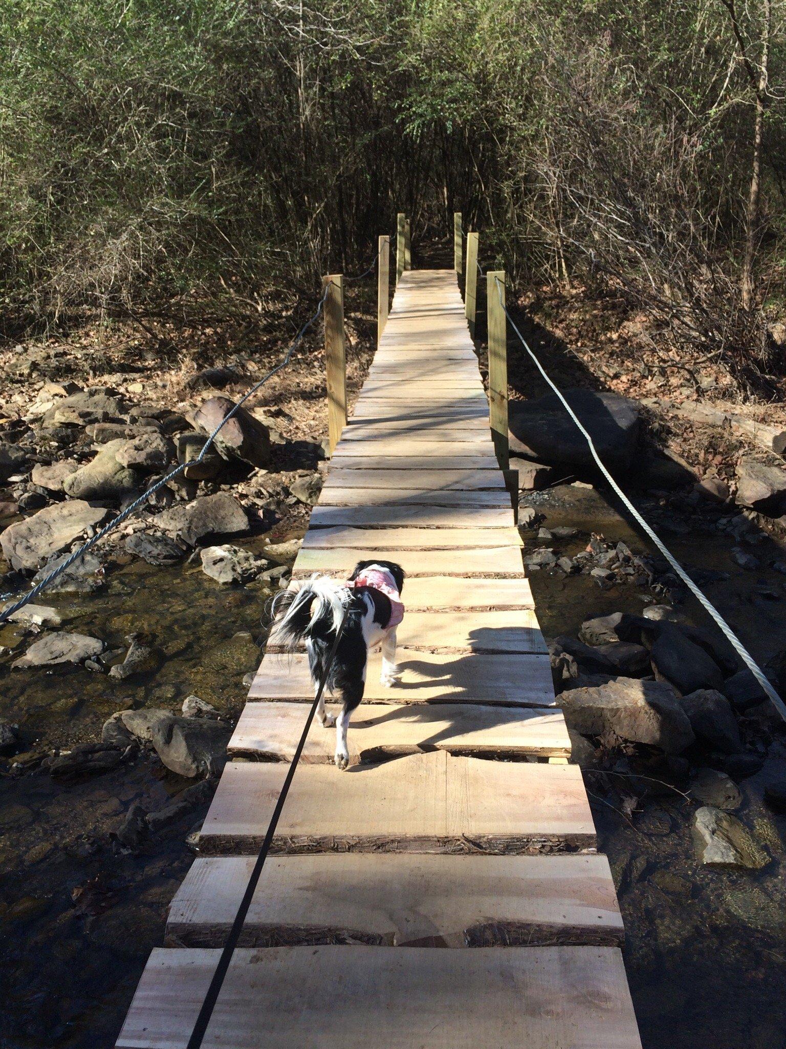 Lake Alma Hiking Trail