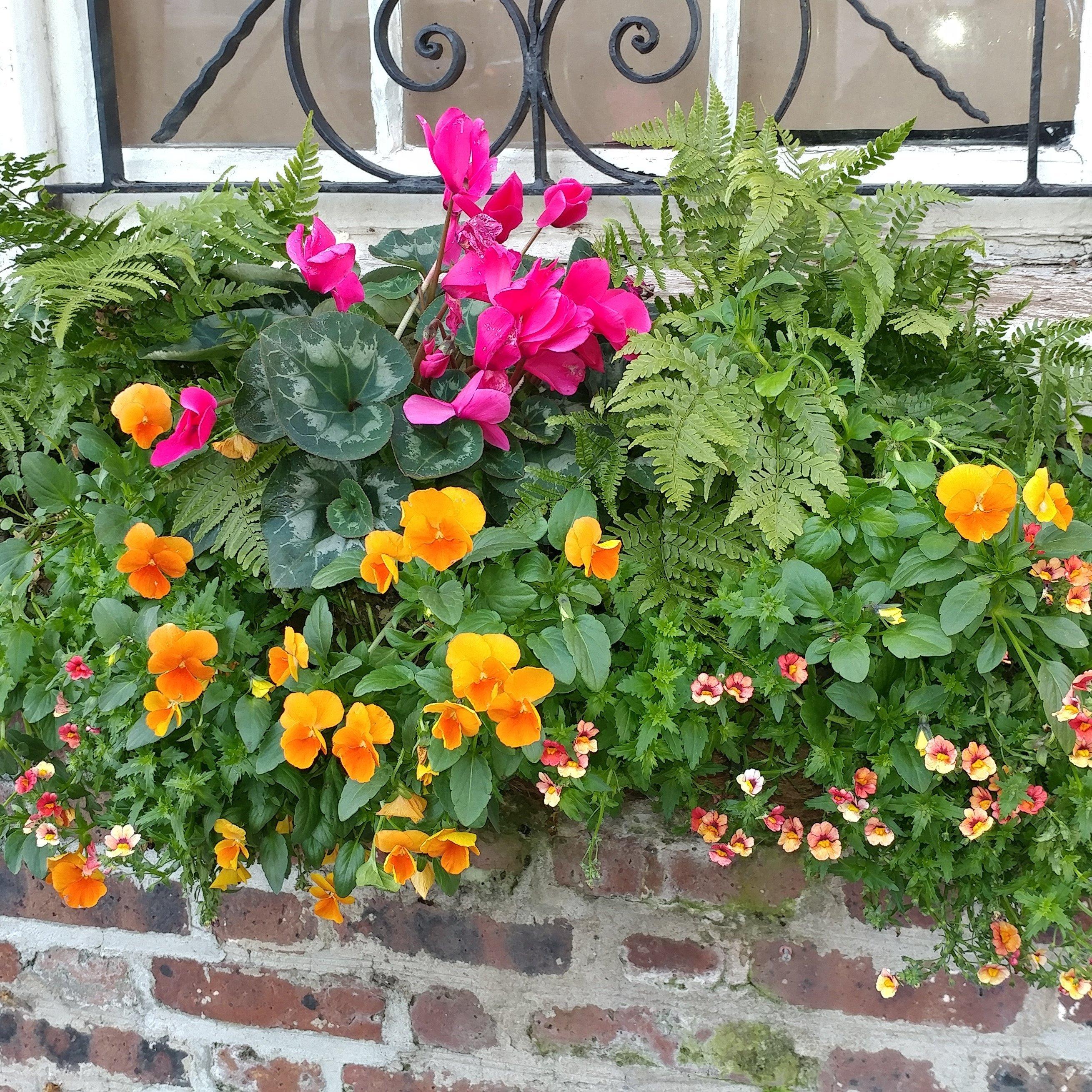 Cheerful Charleston Tours