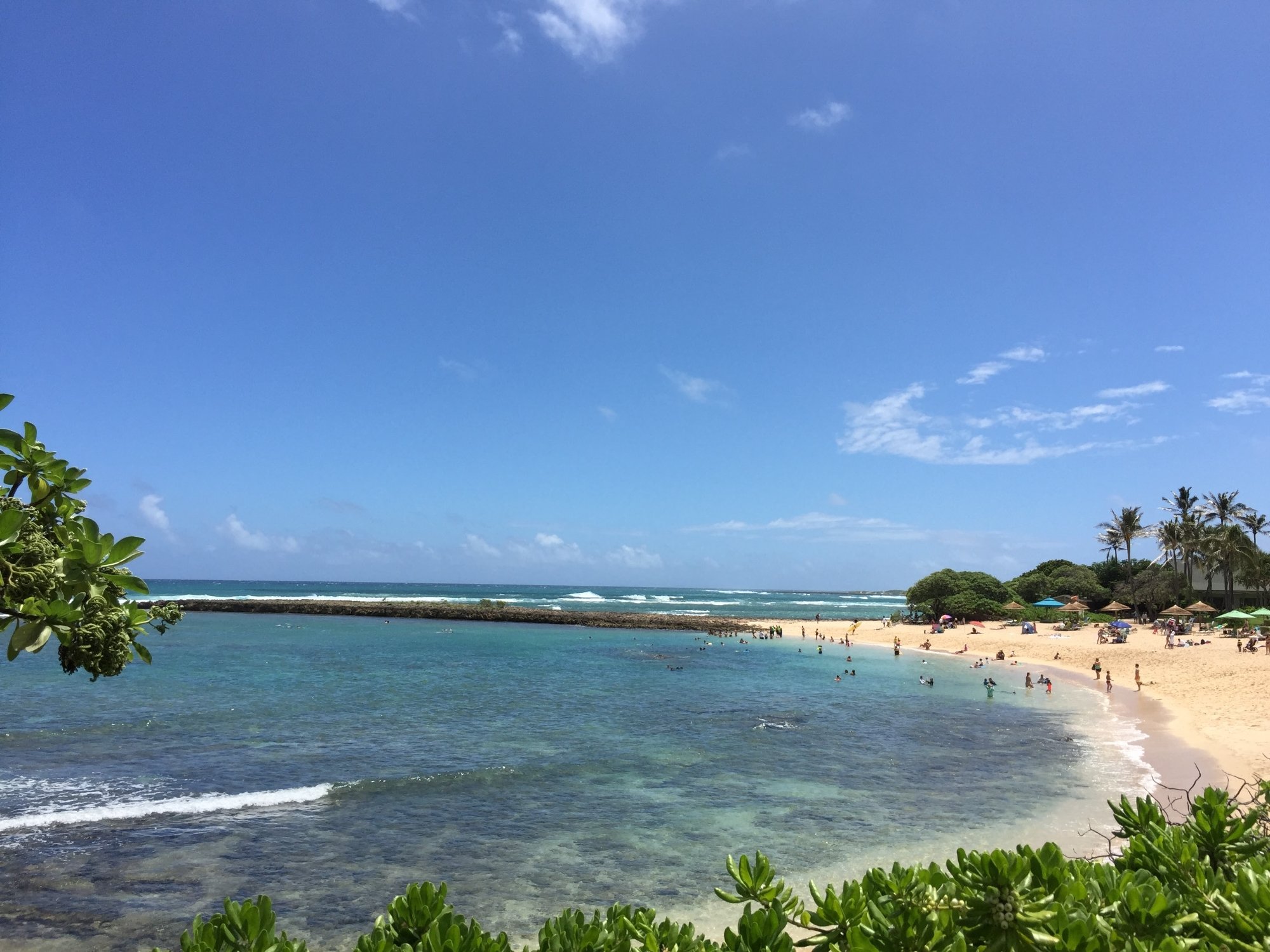 Turtle Bay Beach