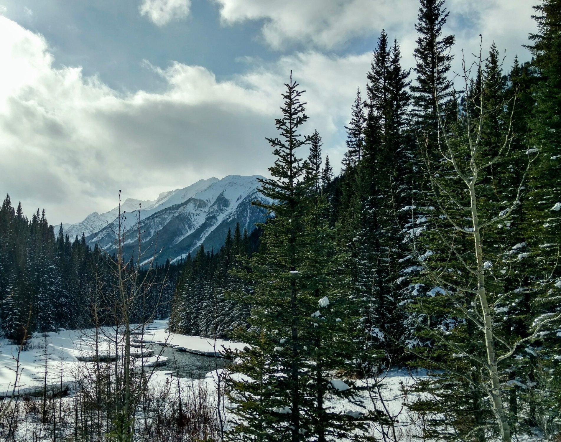 Goat Creek Trail