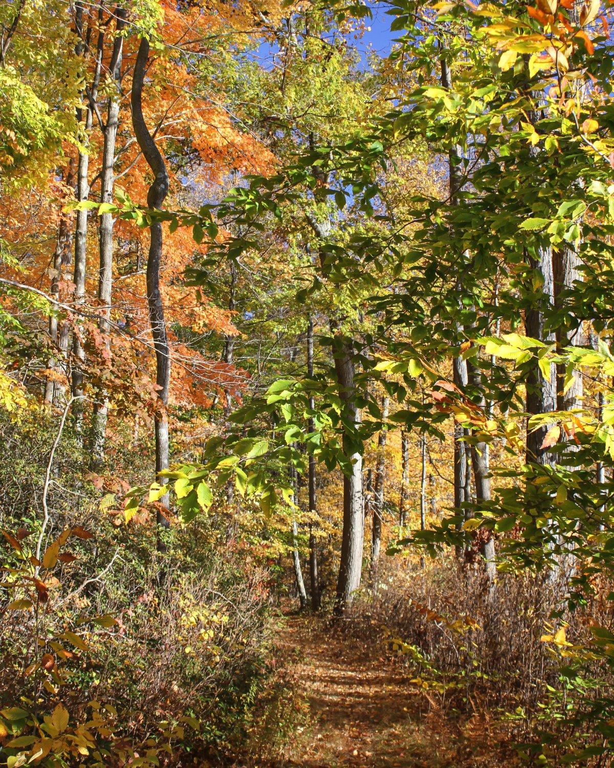 Flanders Nature Center