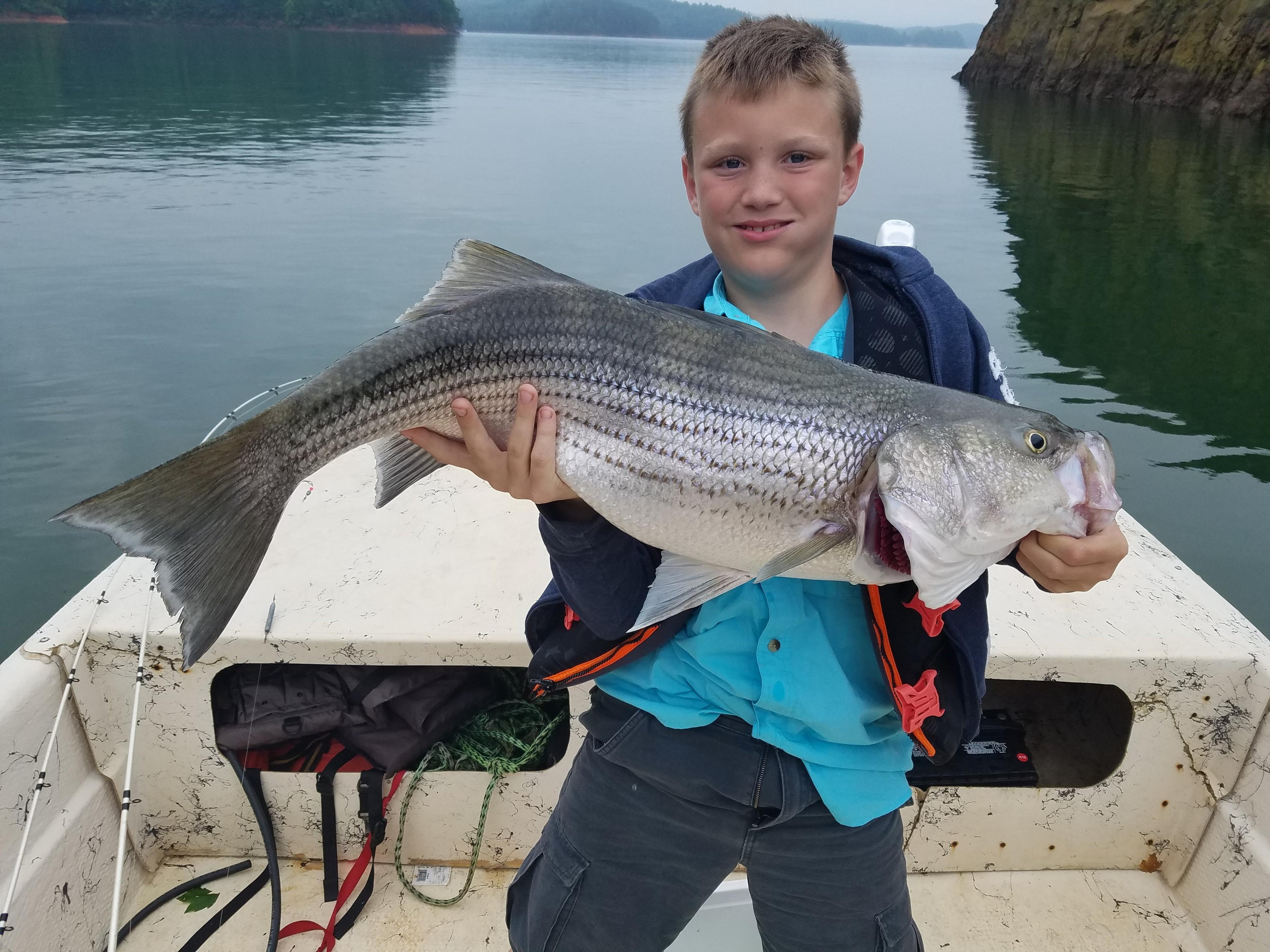 Lake Nottely Fishing Charter