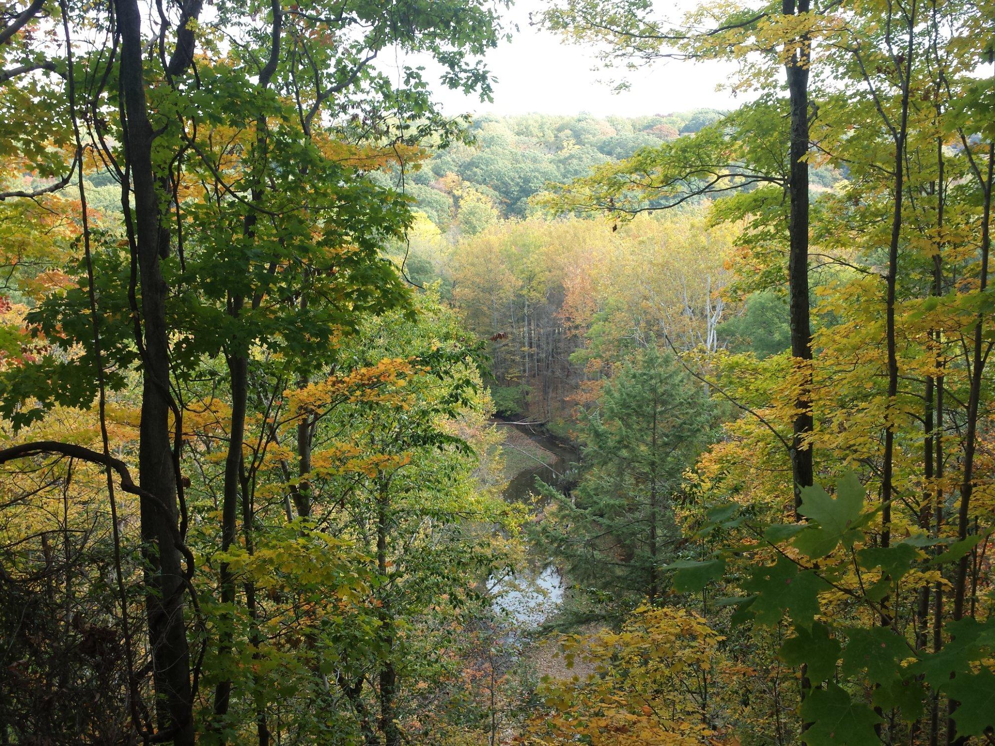 Girdled Road Reservation