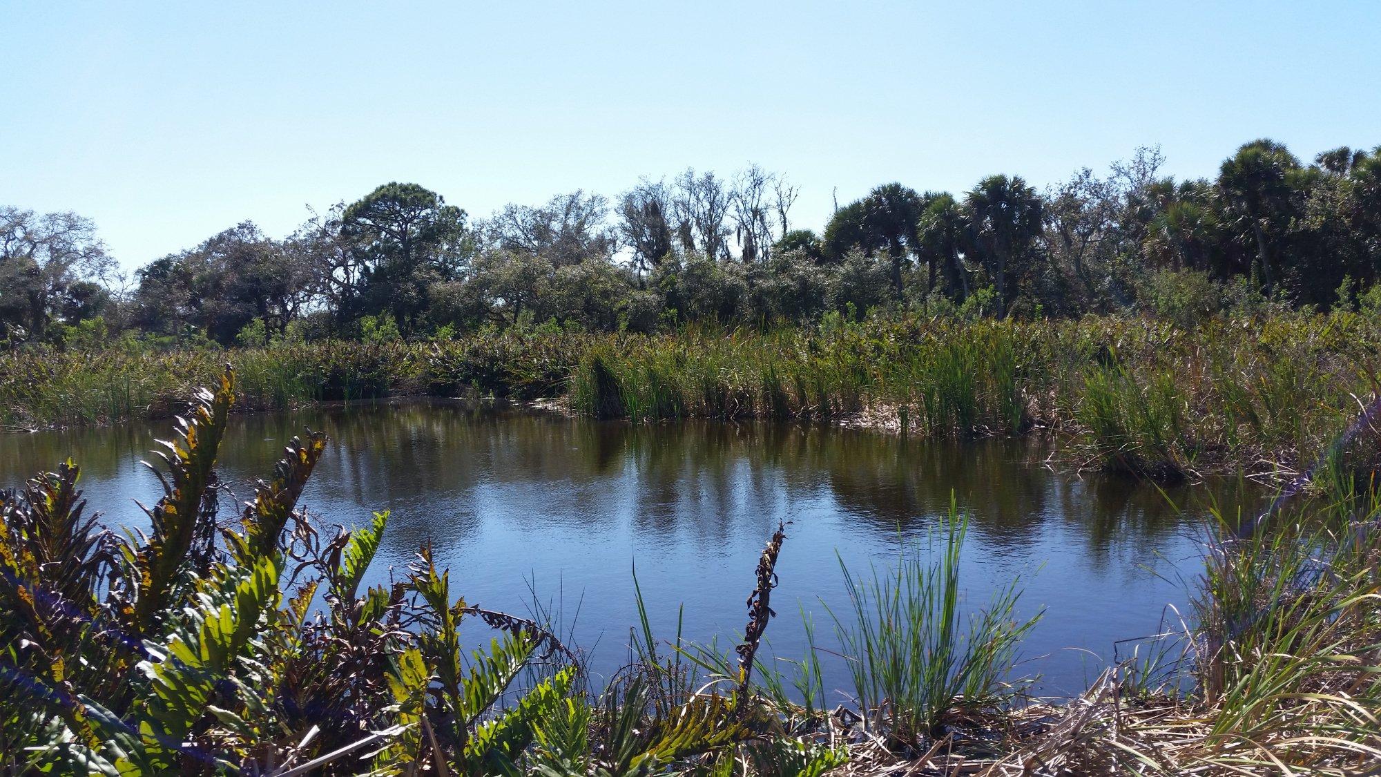 Caloosahatchee Creeks Preserve West