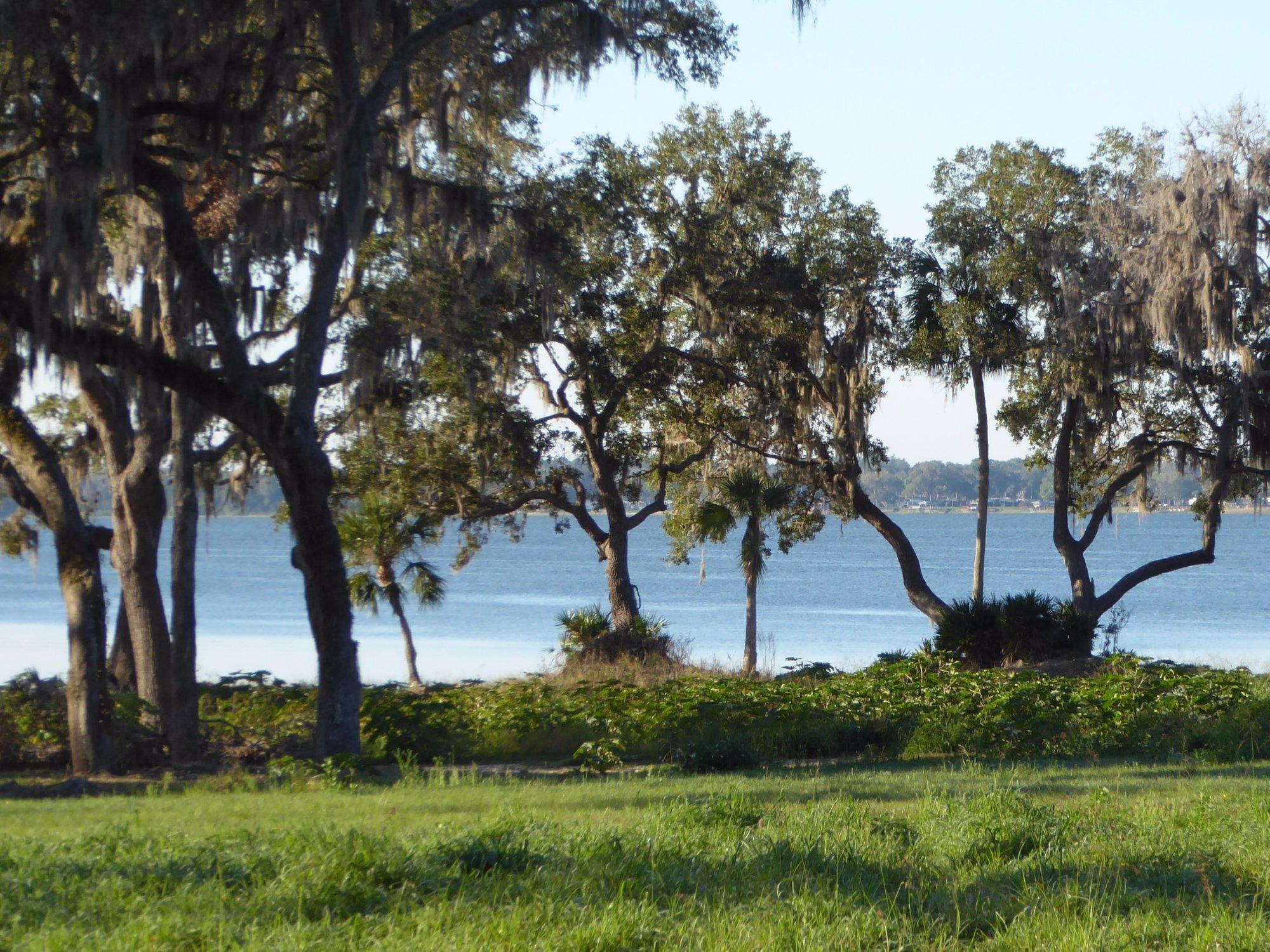 Sawgrass Island Preserve