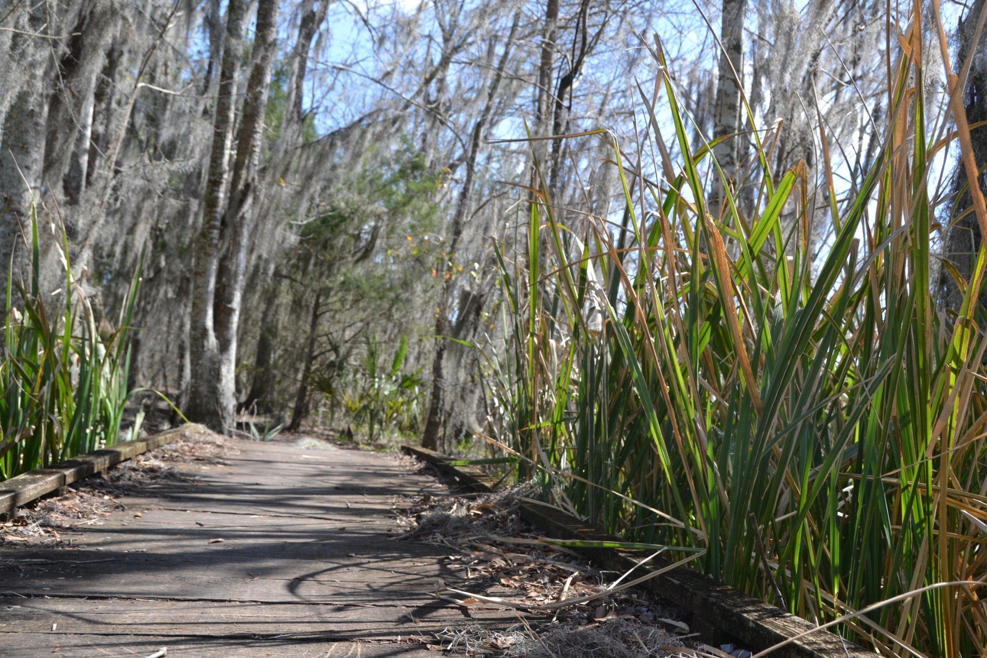 Mandalay National Wildlife Refuge