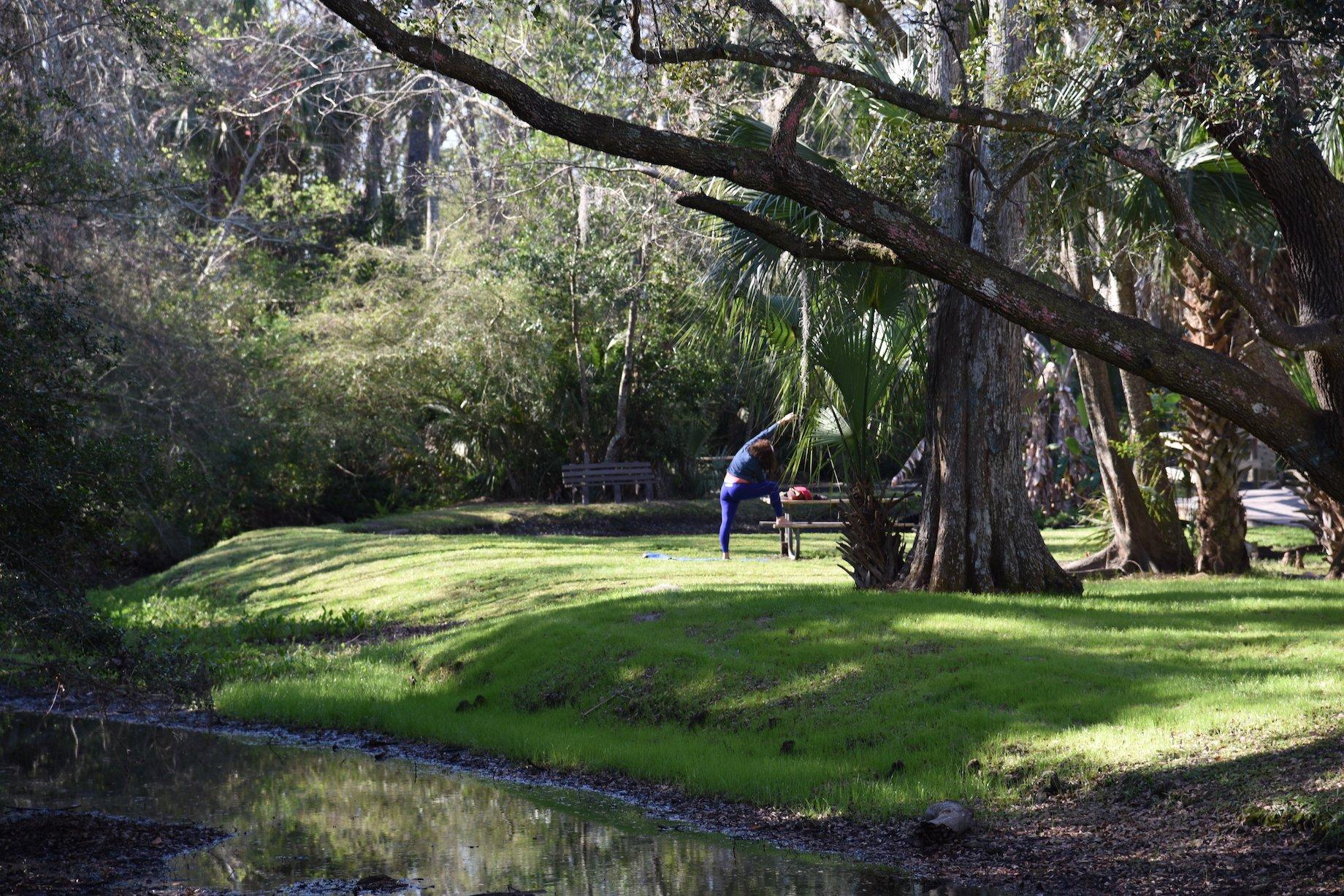 Jack Russell Park