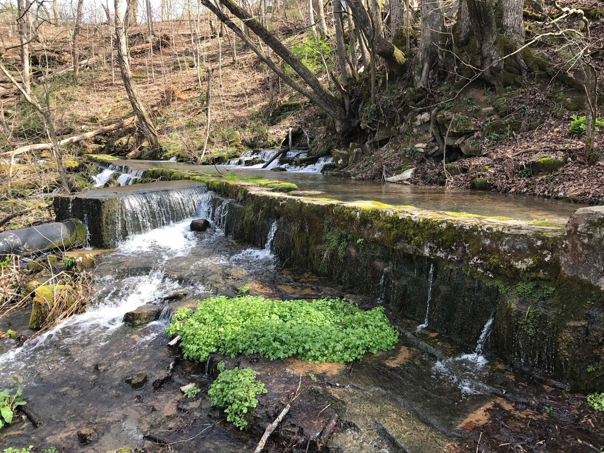 Mill Springs Mill Park