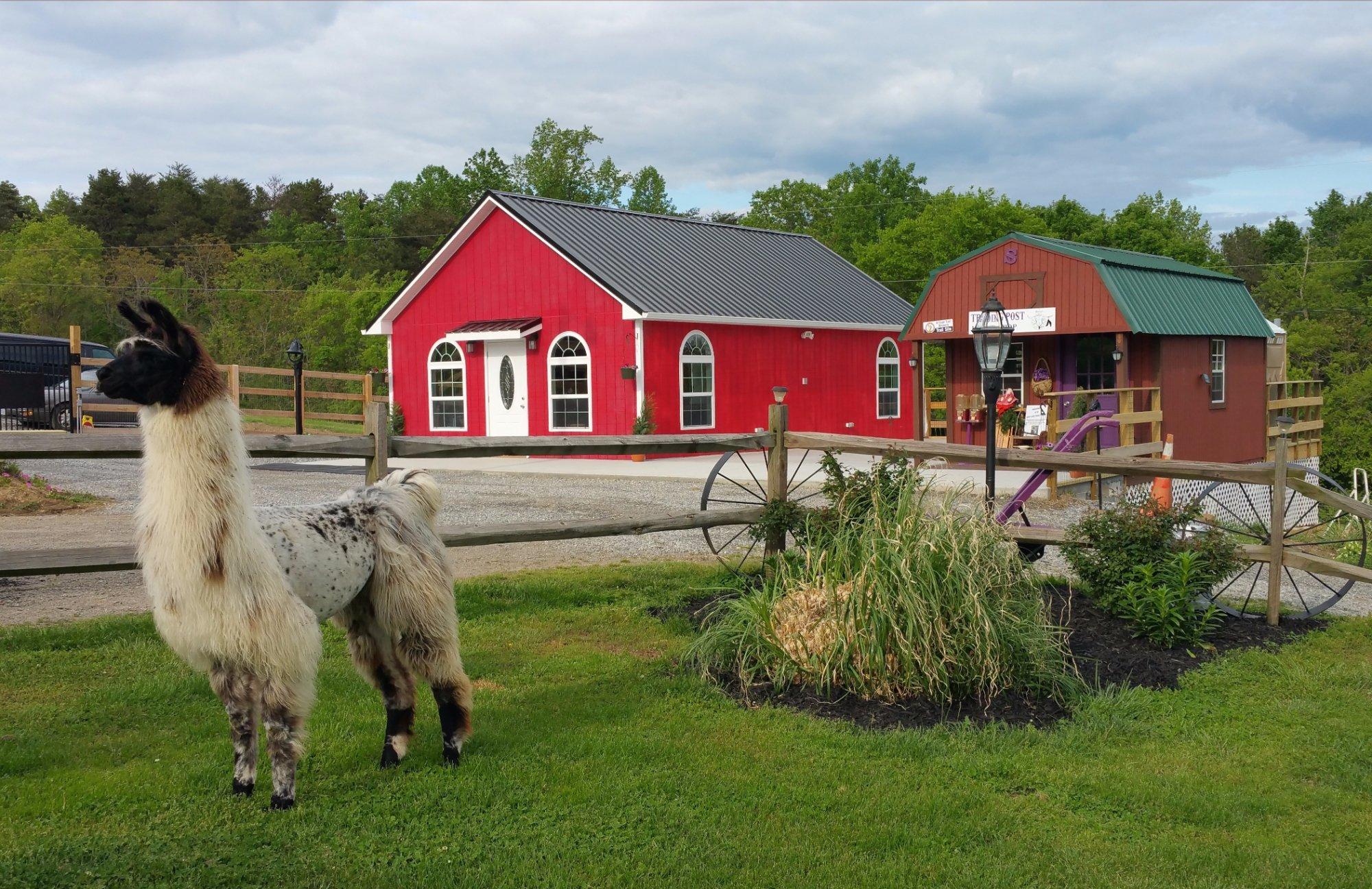 Infinity Acres Ranch