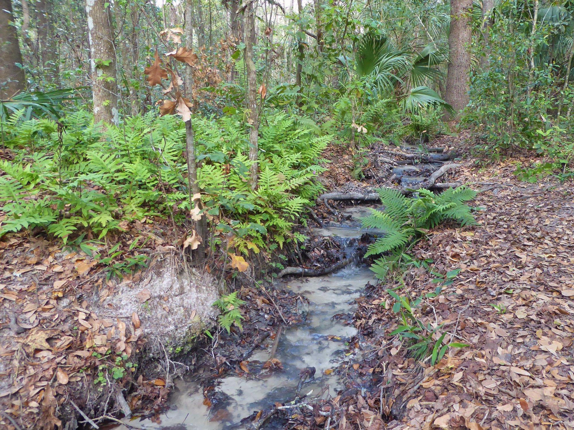 Hidden Waters Preserve