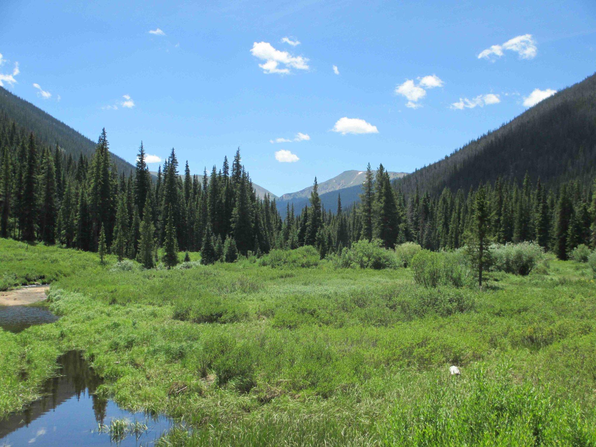 Vasquez Peak Wilderness