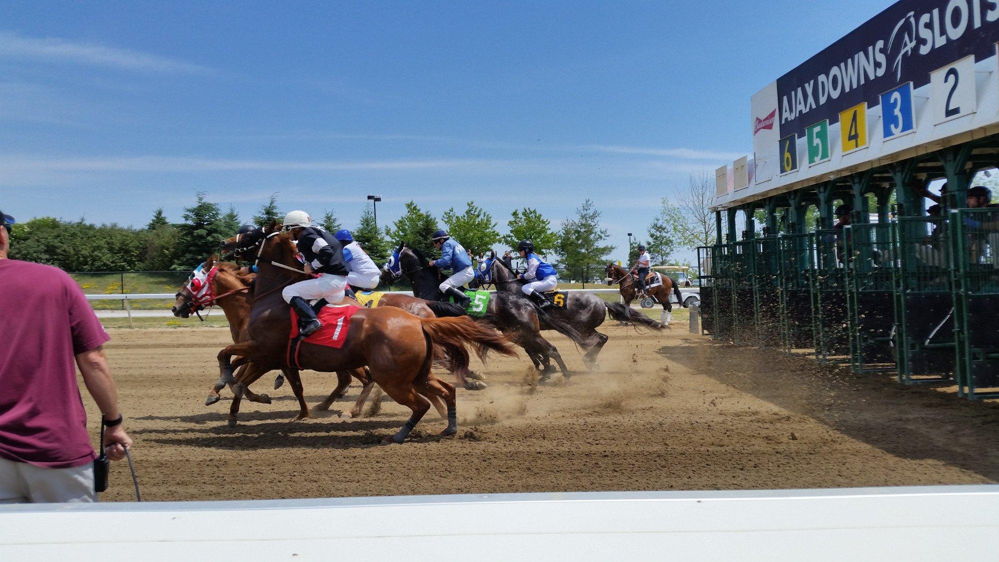 Ajax Downs Racetrack