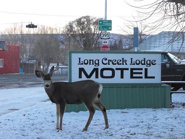 Long Creek Lodge