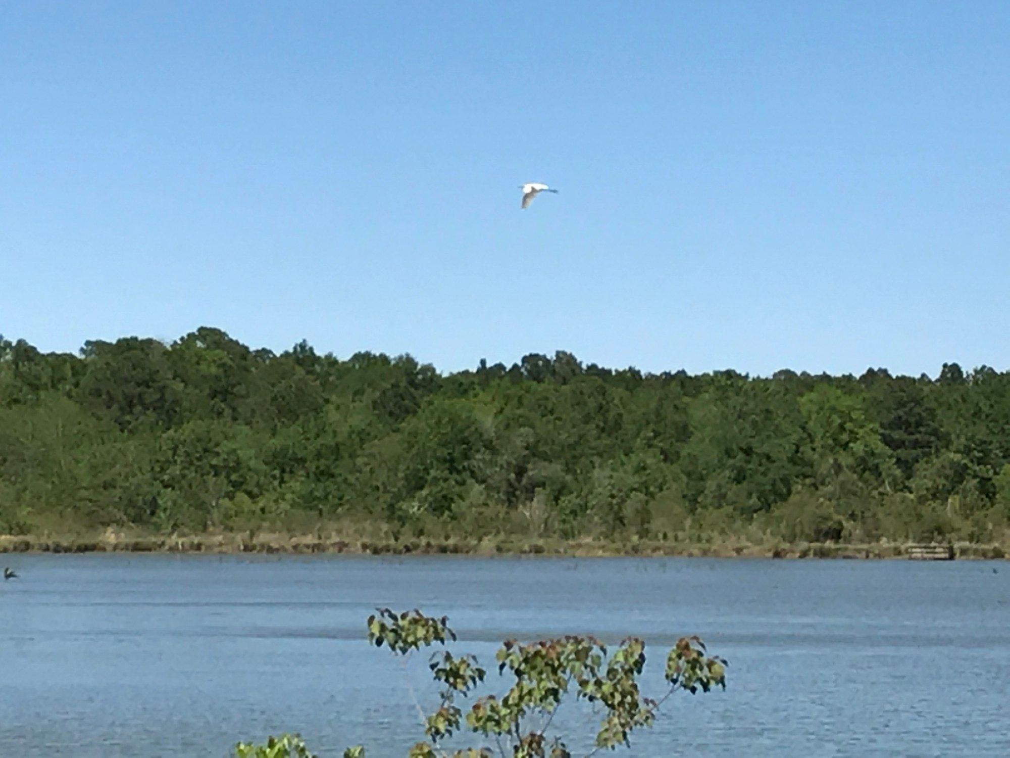 Milton "Buddy" Hopkins Nature Preserve