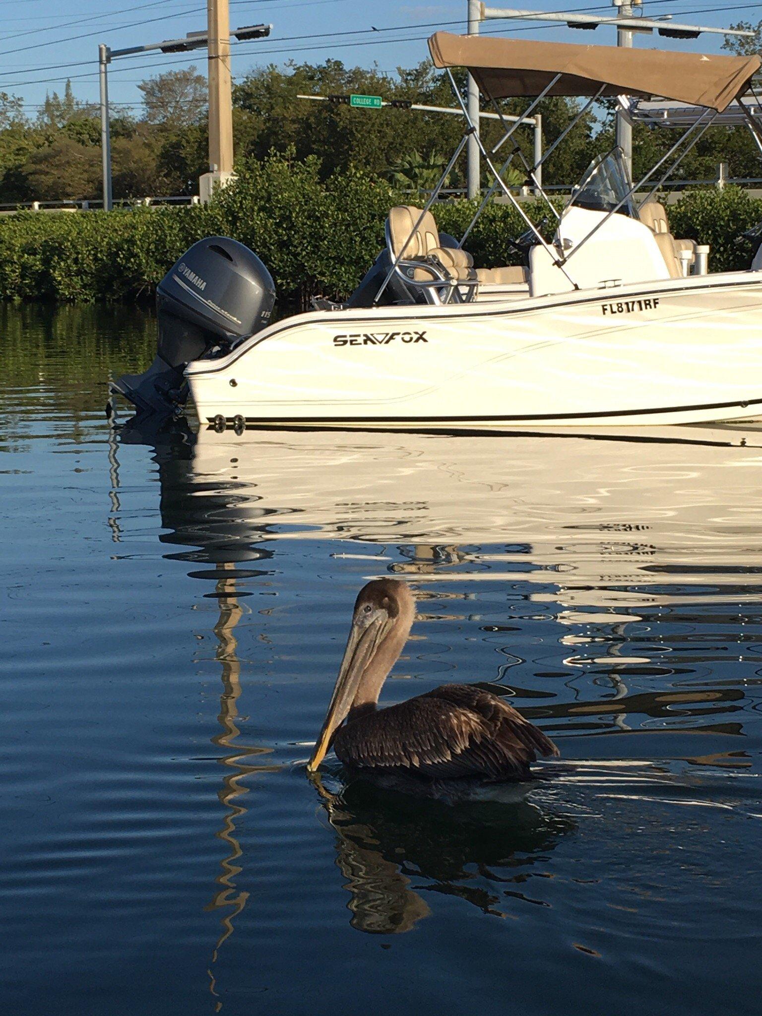 Commander Hawk Fishing Charter