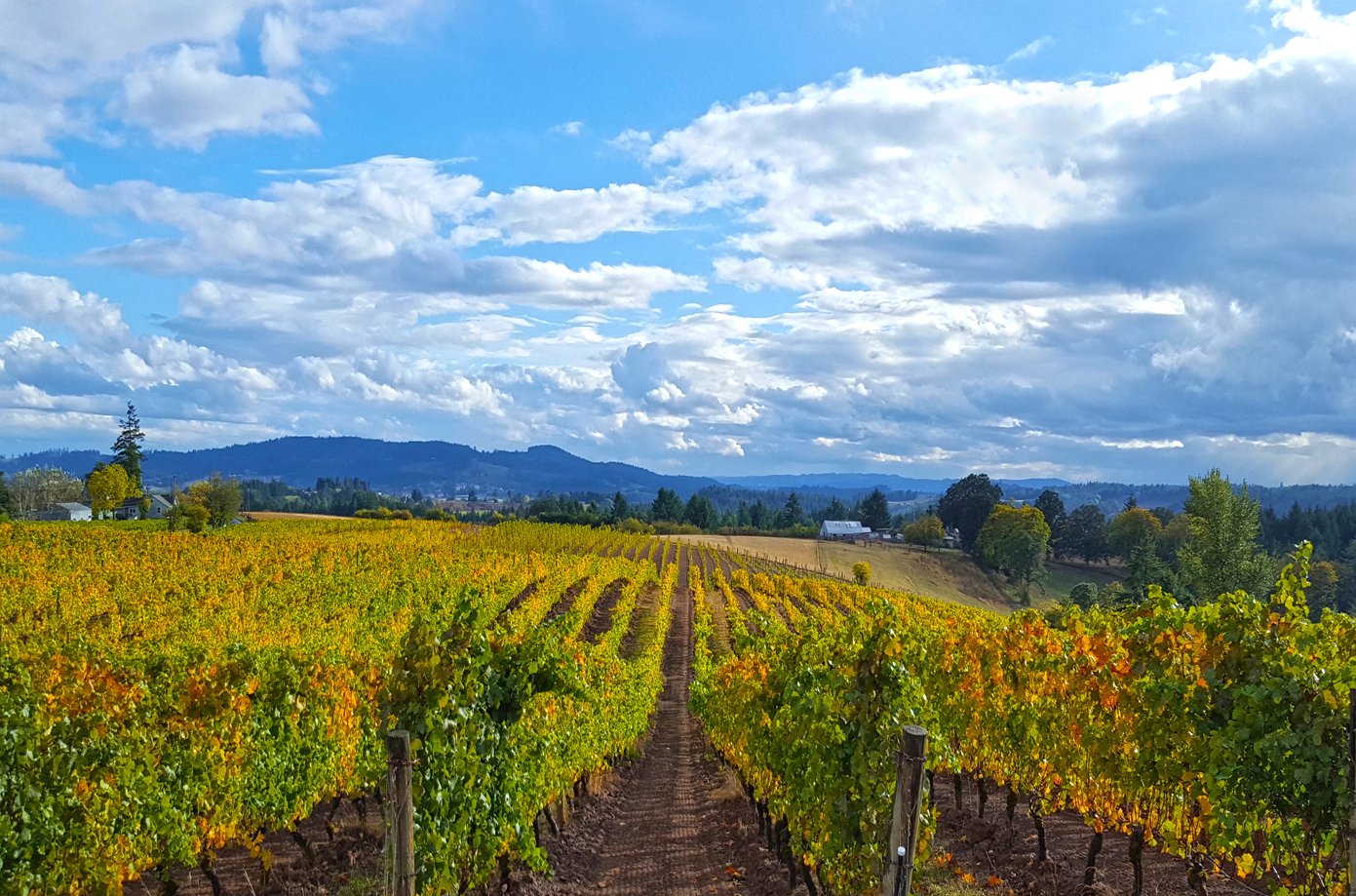 Northwest Wine Tours